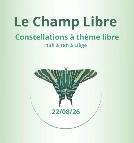 Après-midi de constellations familiales en groupe : thème libre. Dans un espace sécure, bienveillant, en petits groupes intimistes.