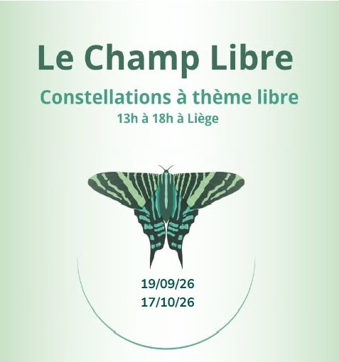 Journée de constellations à thème : donner vie à son projet