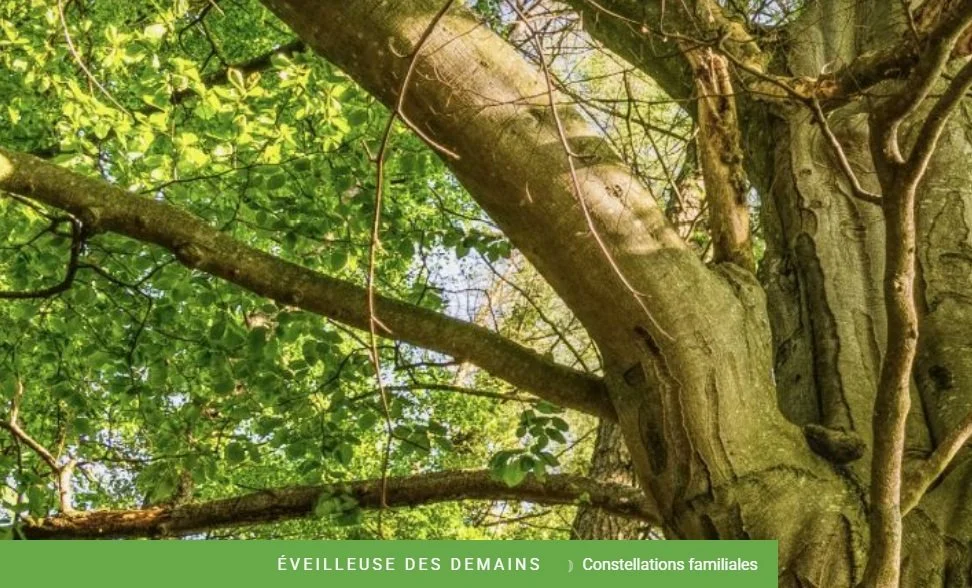 Journée transgénérationnelle : psychogénéalogie  constellations en groupe et mandala.