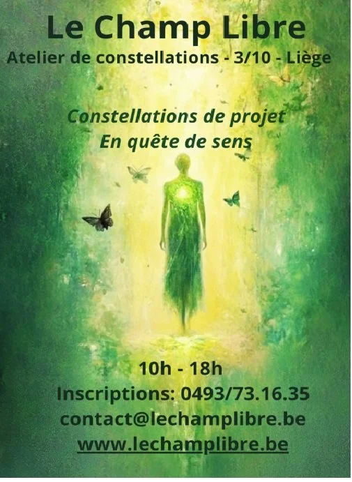 Journée de constellations à thème : constellation de projet - en quête de sens