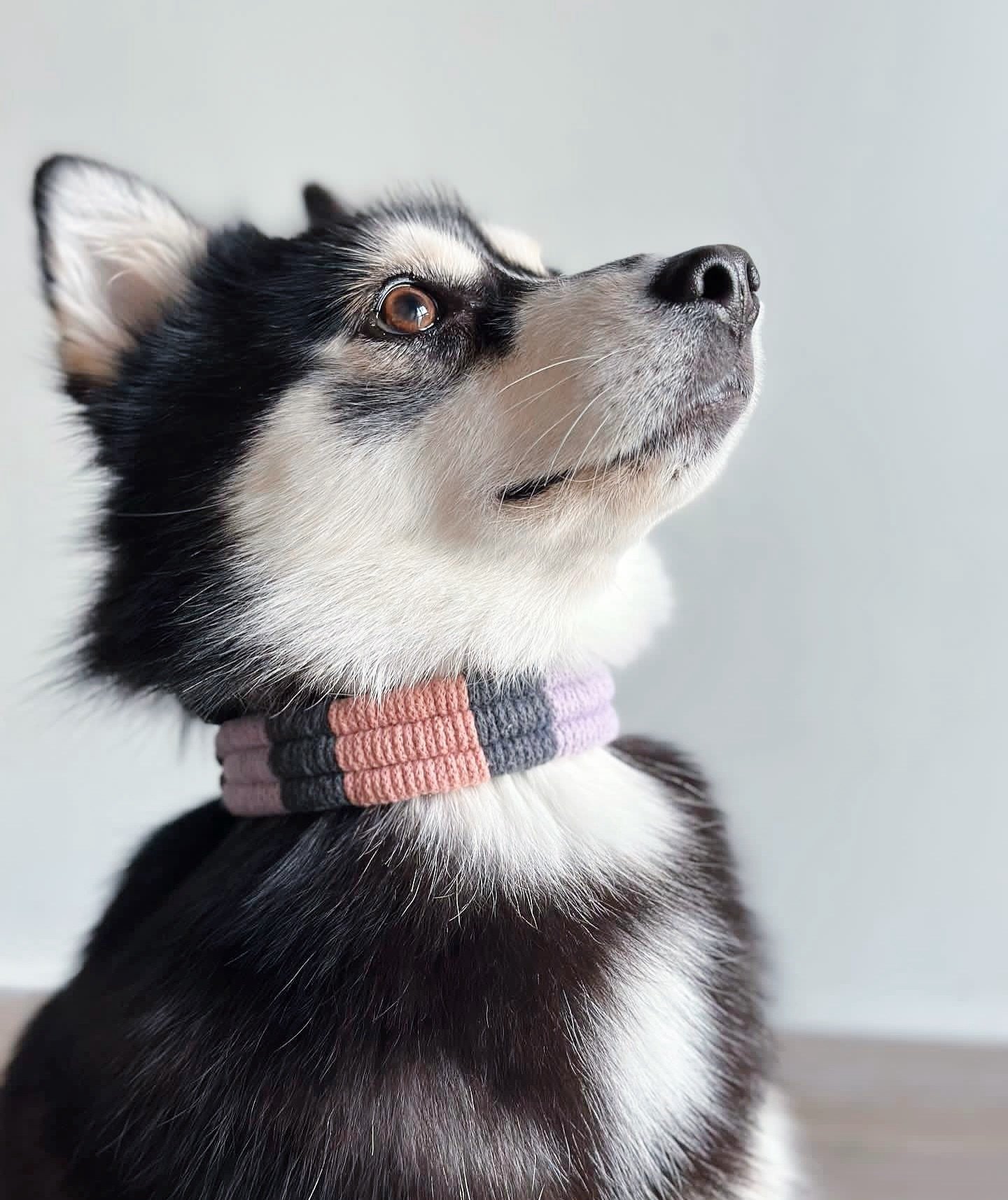 Simple 𝘽𝙤𝙝𝙚𝙢𝙞𝙖 collar with better look like @myra.thepomsky ✨

𝑼𝒑𝒅𝒂𝒕𝒆 // The last Initial Letter Tag launch was AMAZING! We were so stoked by the amount of supports we&rsquo;ve received from you all 🫶
That also means that the production