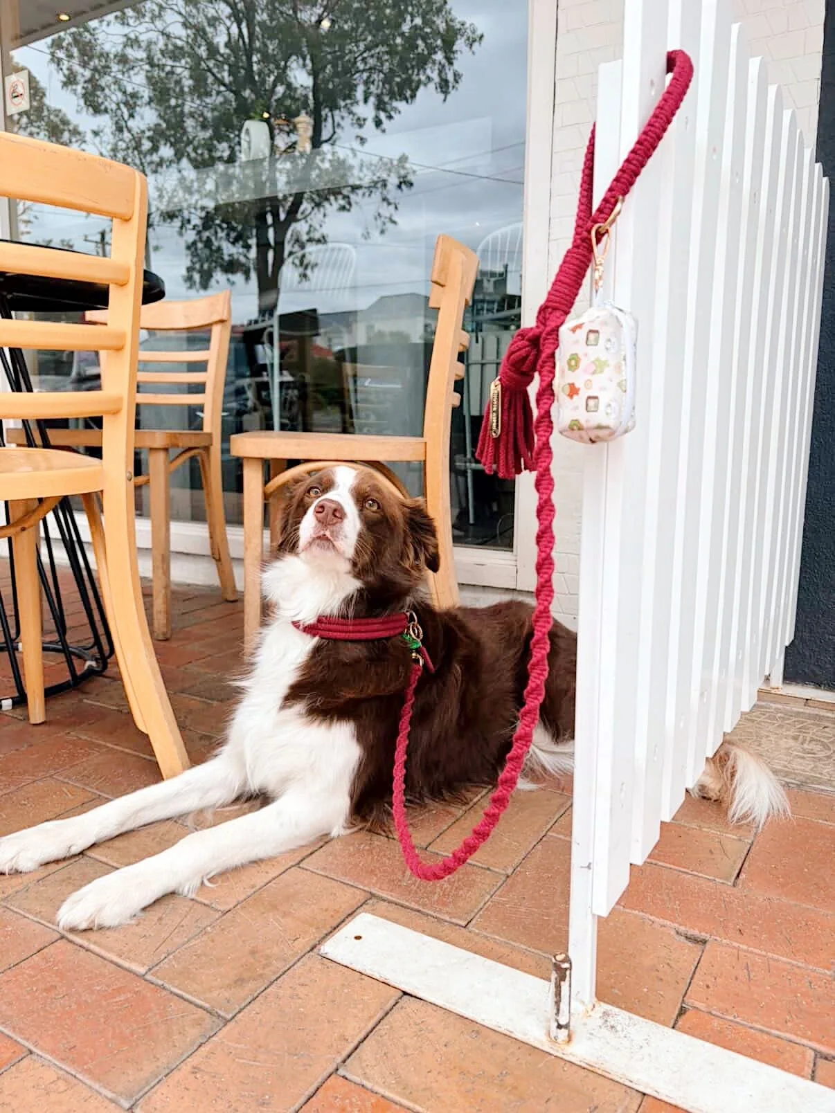 Handmade Macrame Dog Leash - Wine Red Tassel Leash