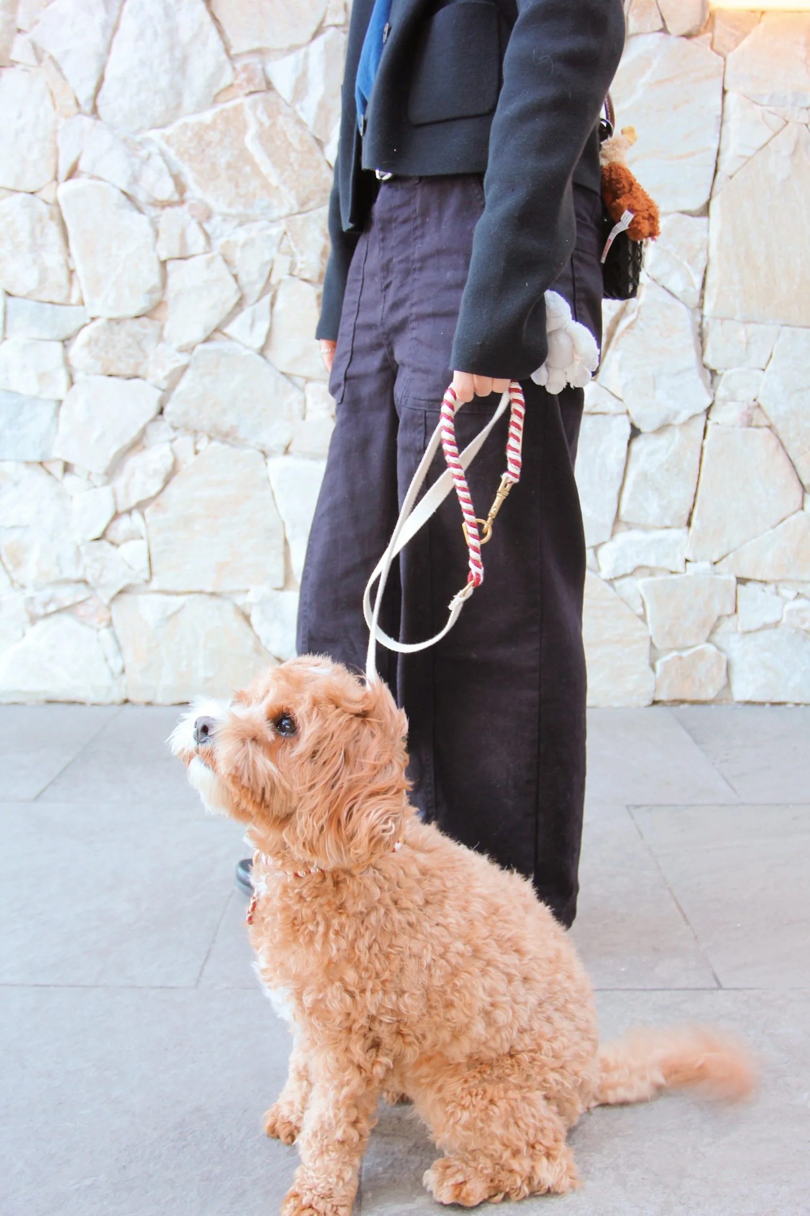 Macrame Dog Accessories Collar & Leash