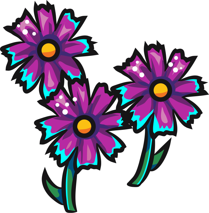 Pink Cosmos