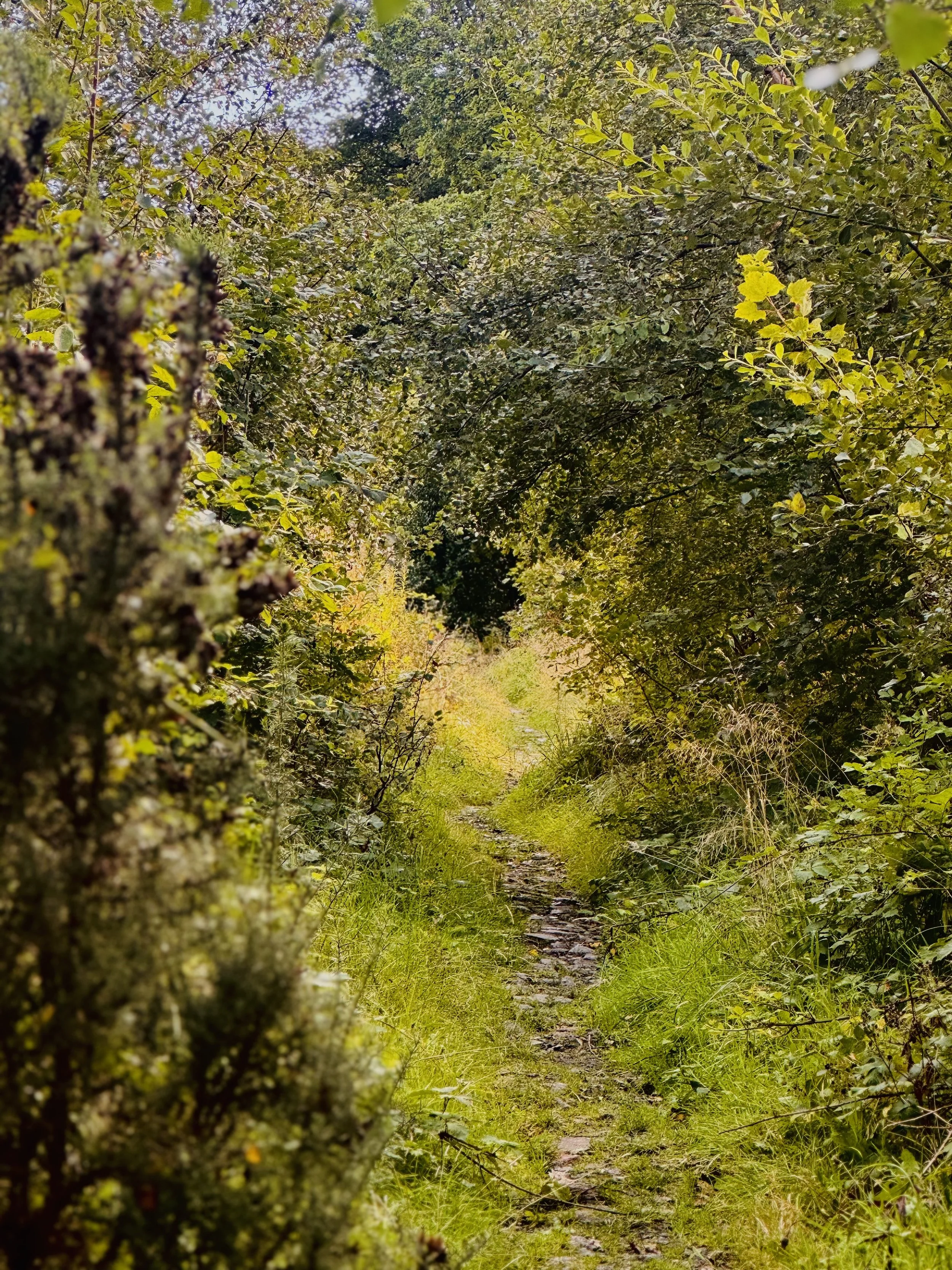 “The path that leads you ” - Creative Vision
