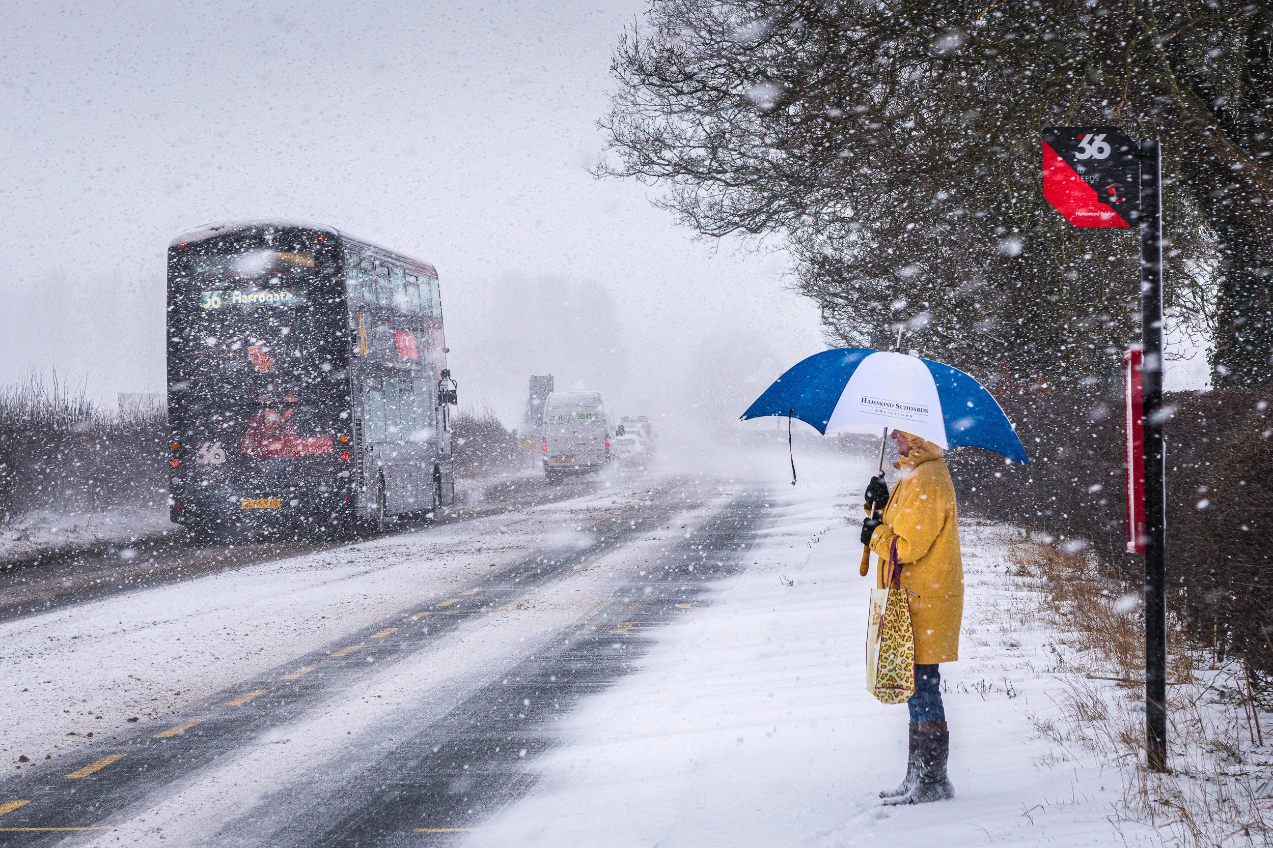 'Going the Wrong Way' by Eric Begbie