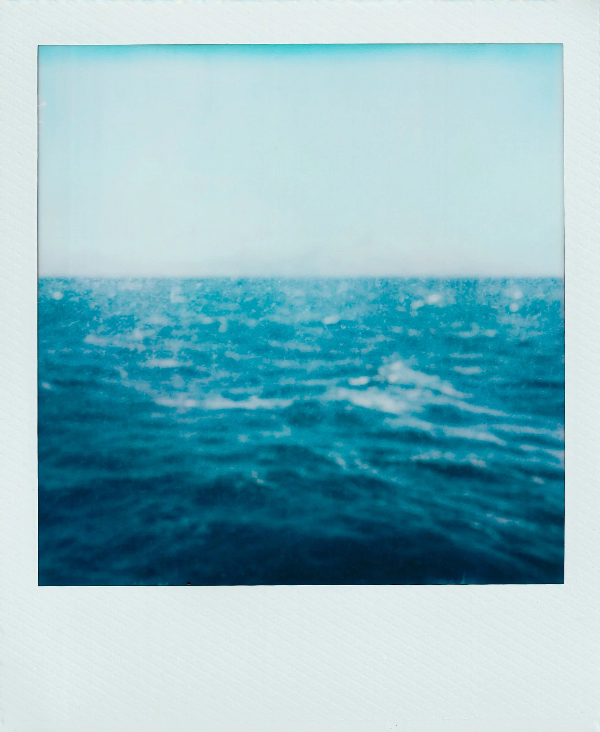 'Sea Salt' by Caitlin Jardine