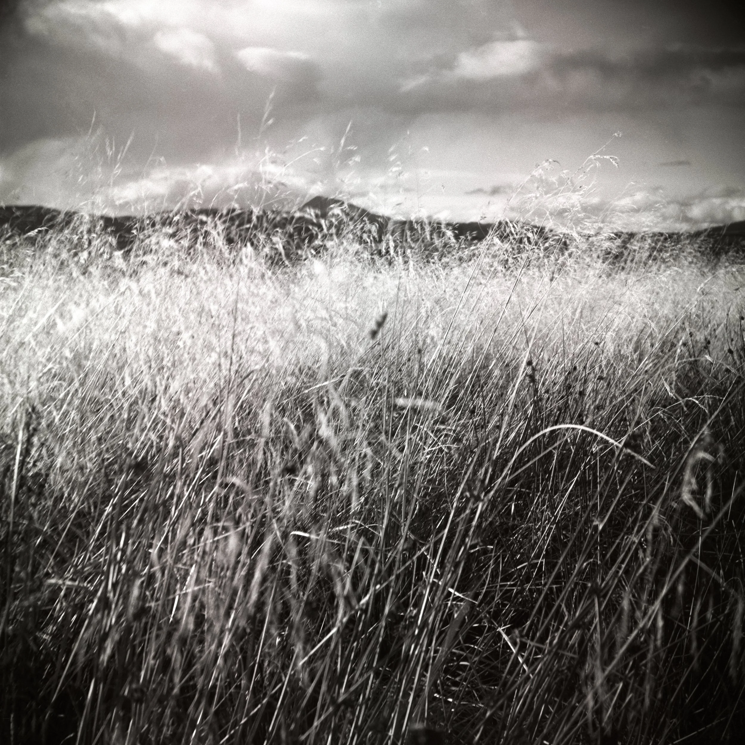 “Ben Ledi Beyond” - Michael Prince