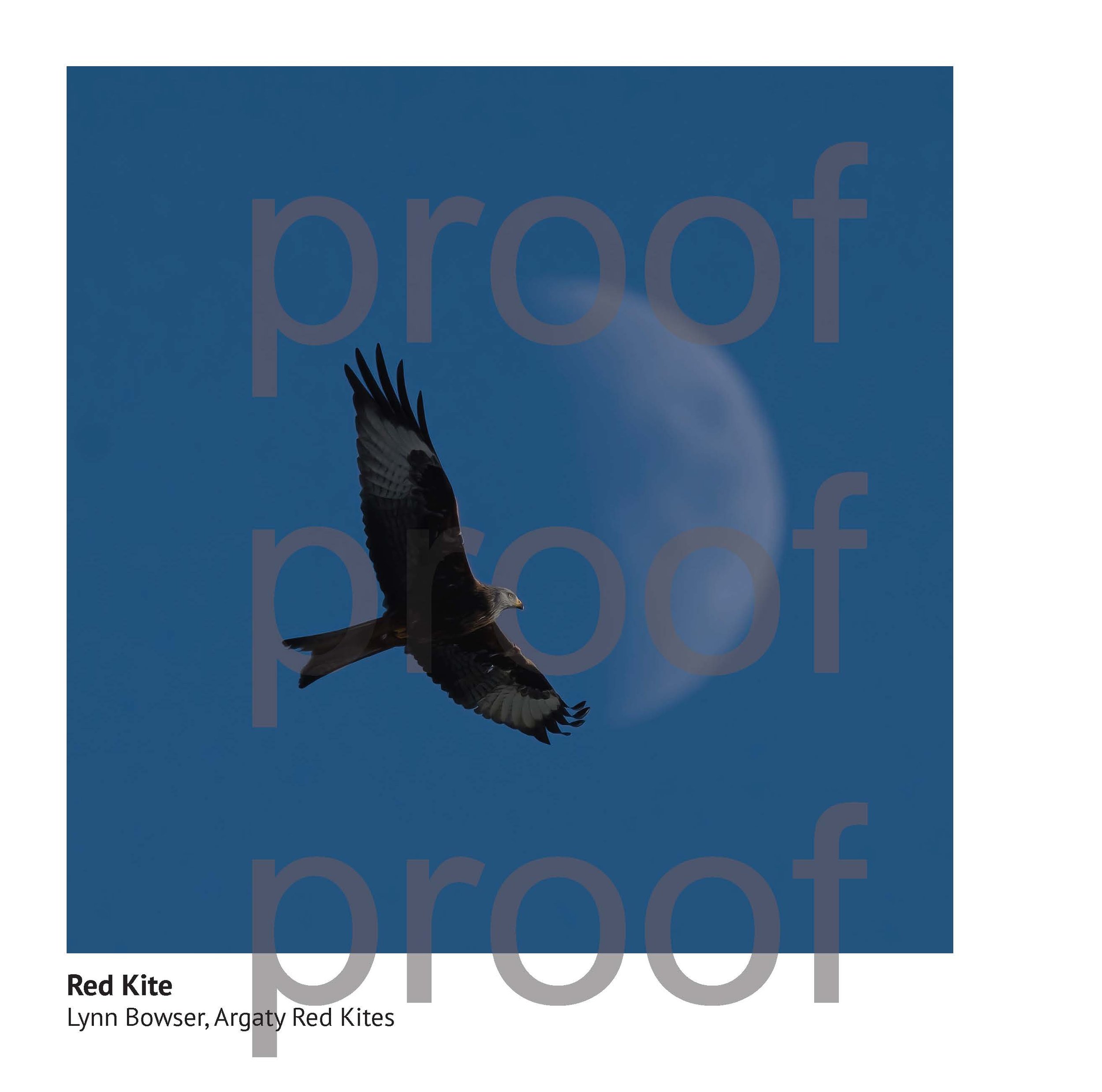 SPF 900 Book X_Page_034.jpg