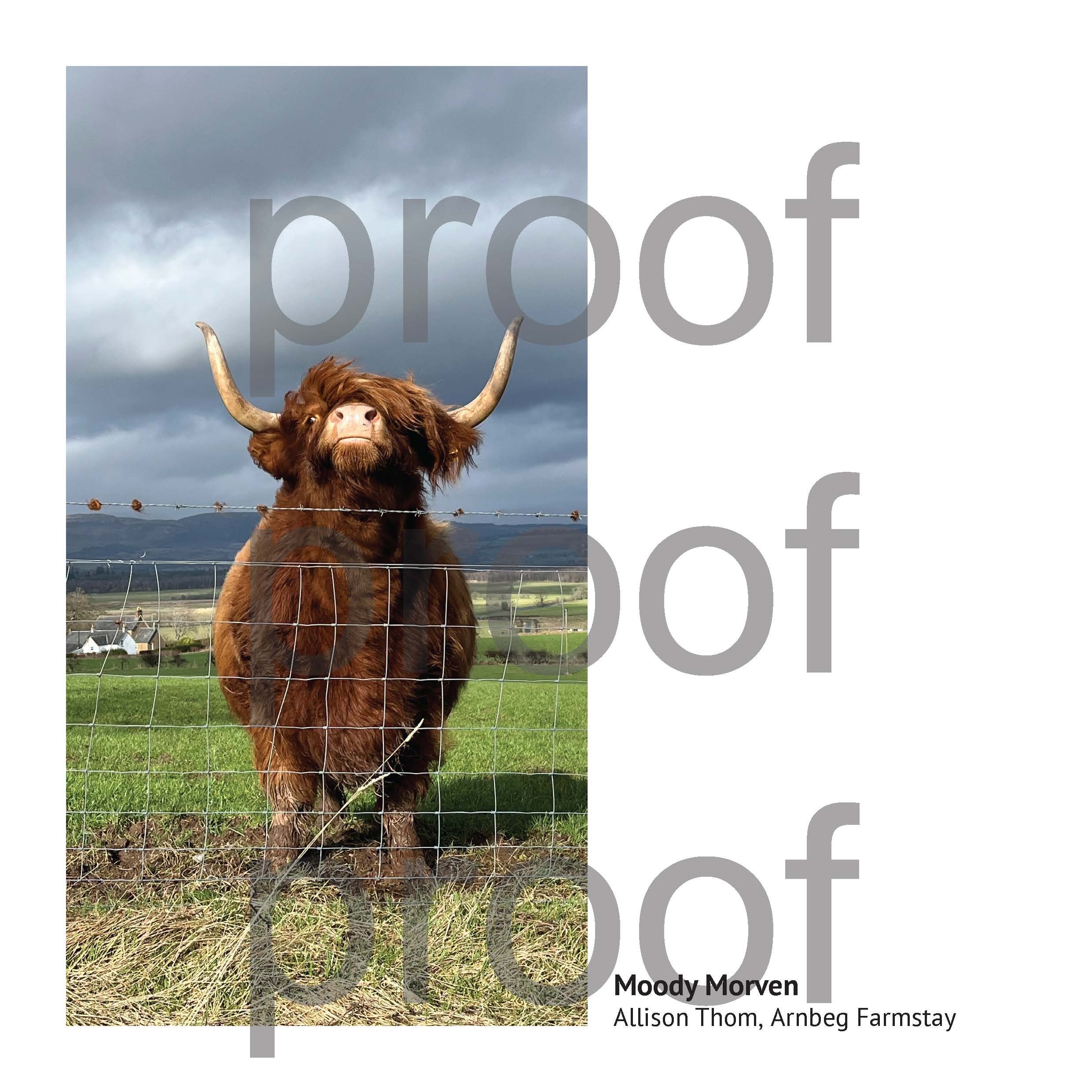 SPF 900 Book X_Page_040.jpg