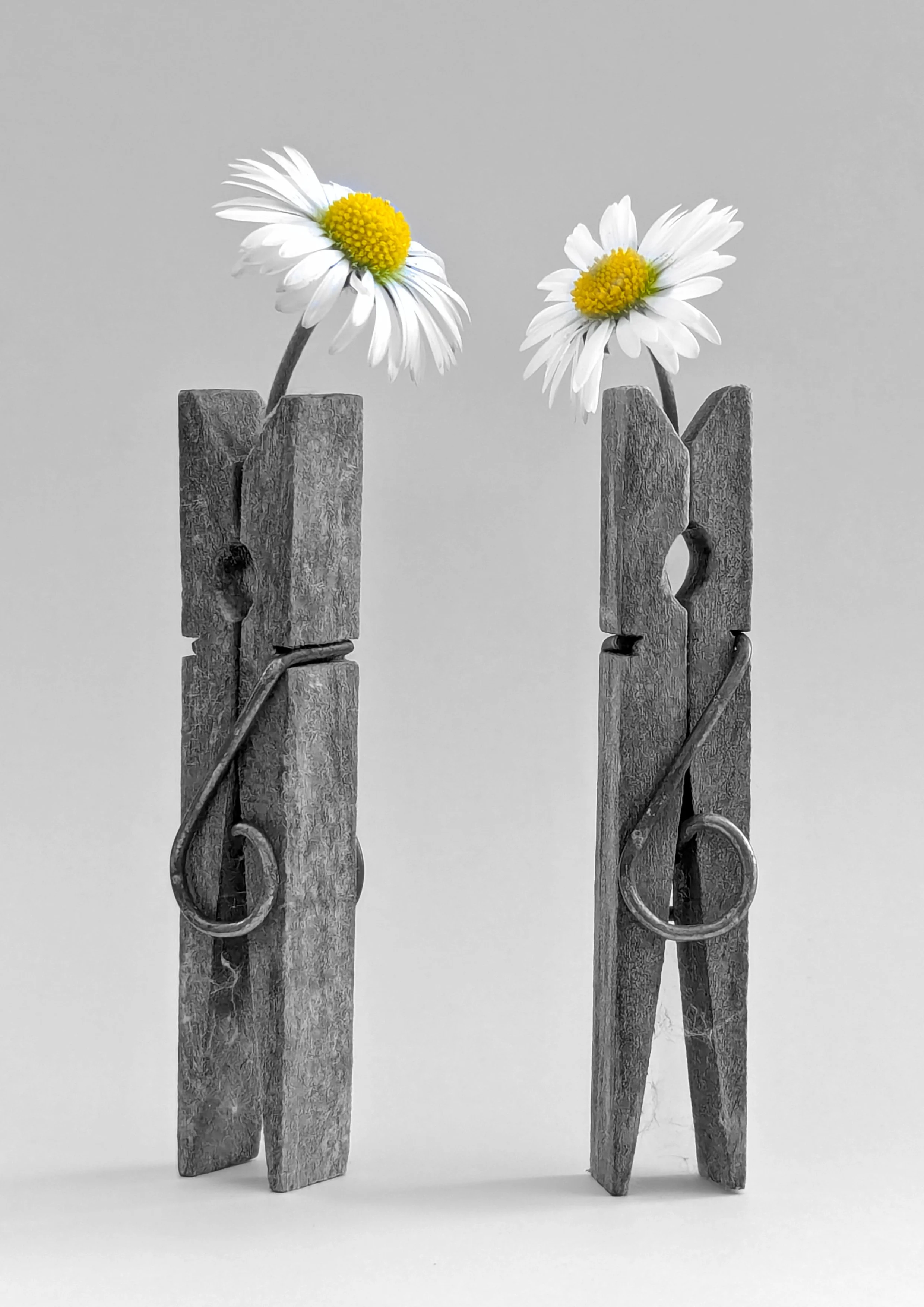 'The Two of Us...' by John Cuthbert