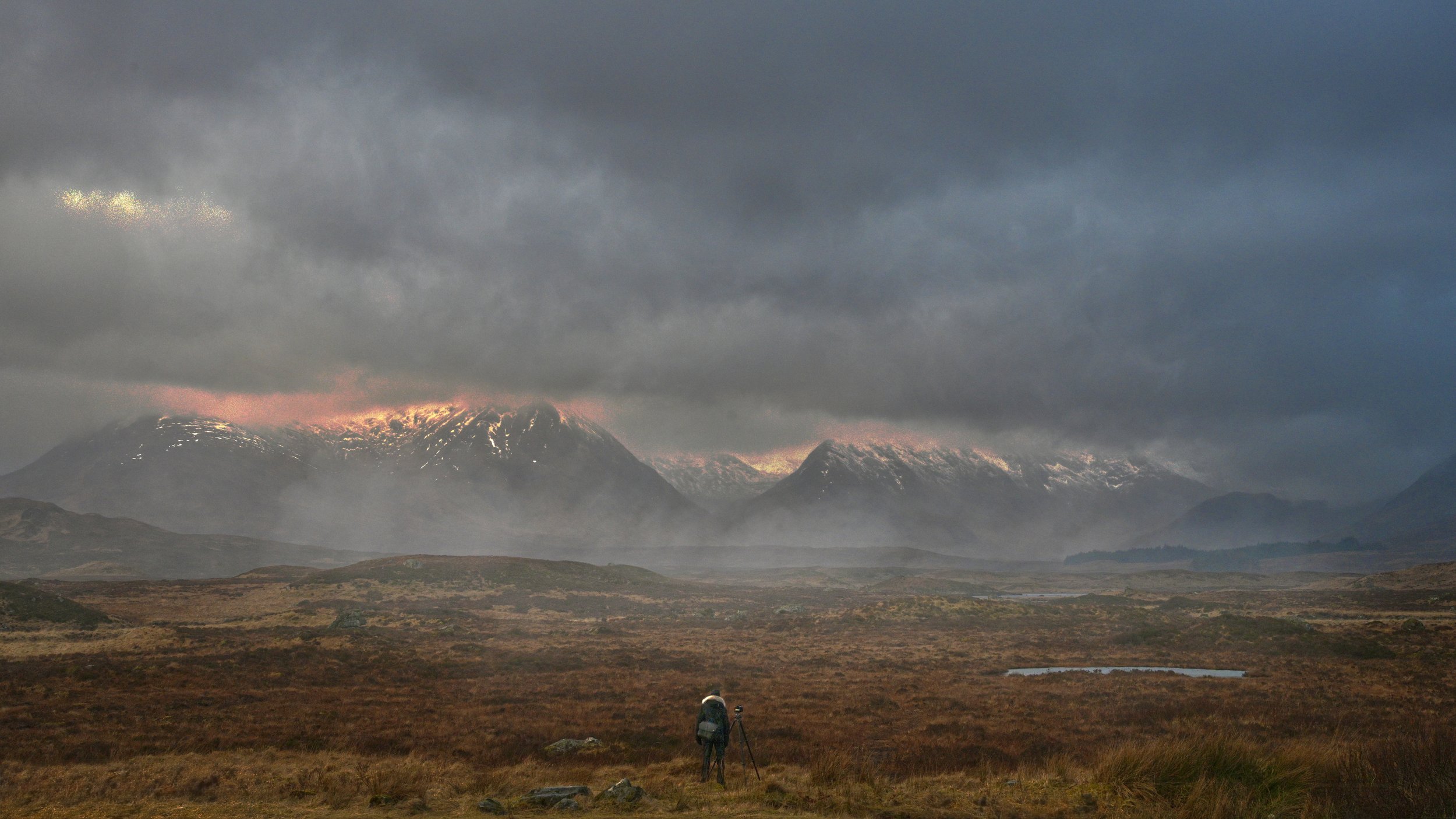 'Into the Wild' by Ian Storrar