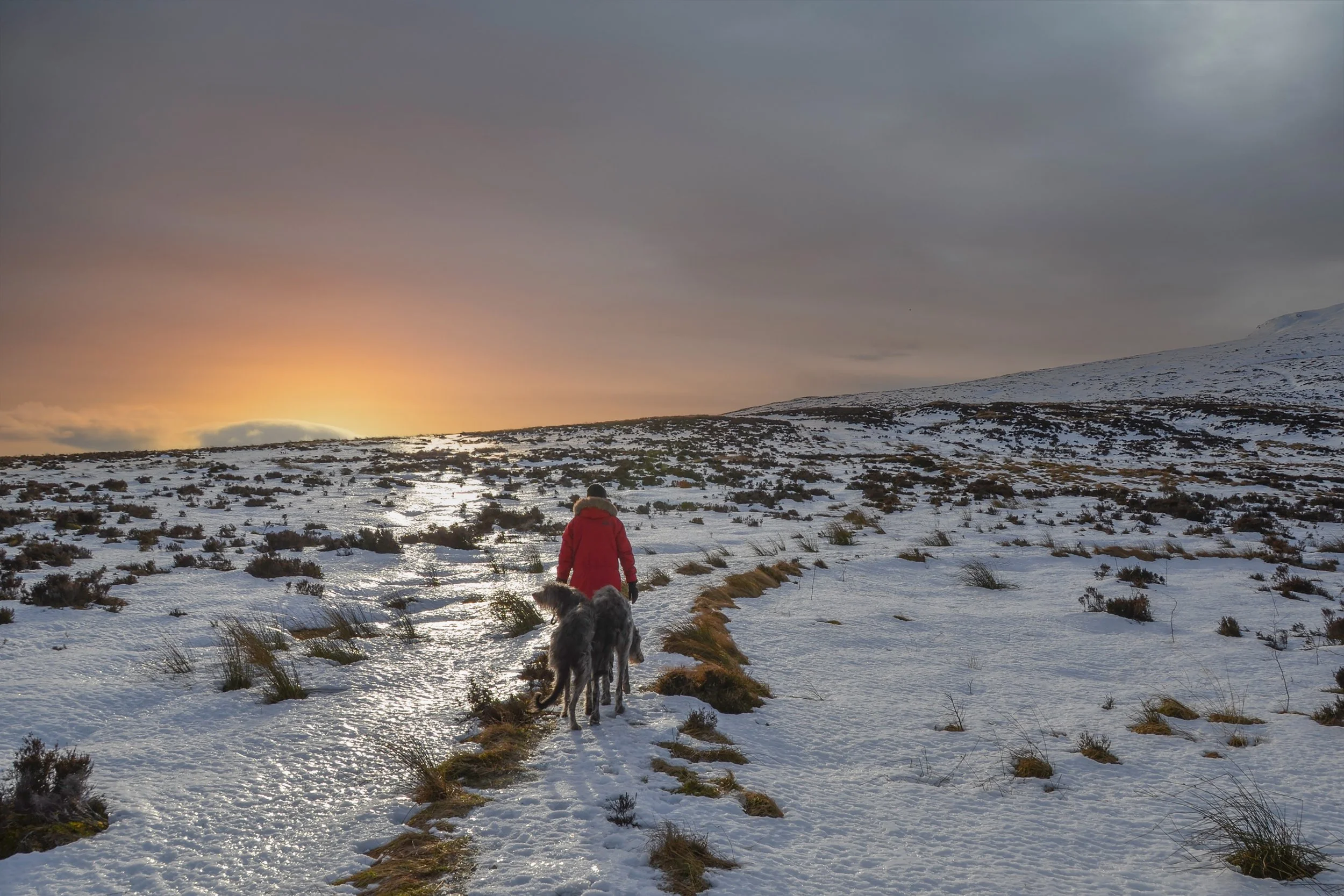'The Long Walk Home' by John Kerr
