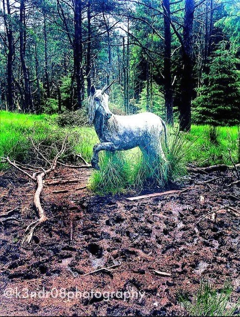 'A Unicorn's Journey' by Kendra Wallace 