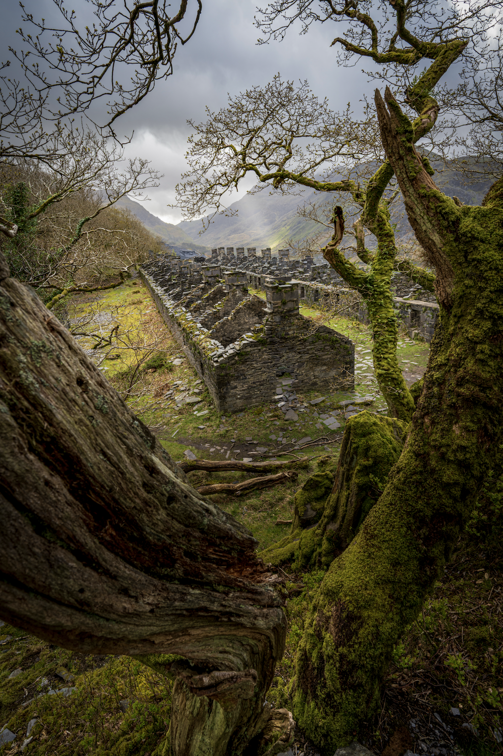 Untitled by Eamonn Martin