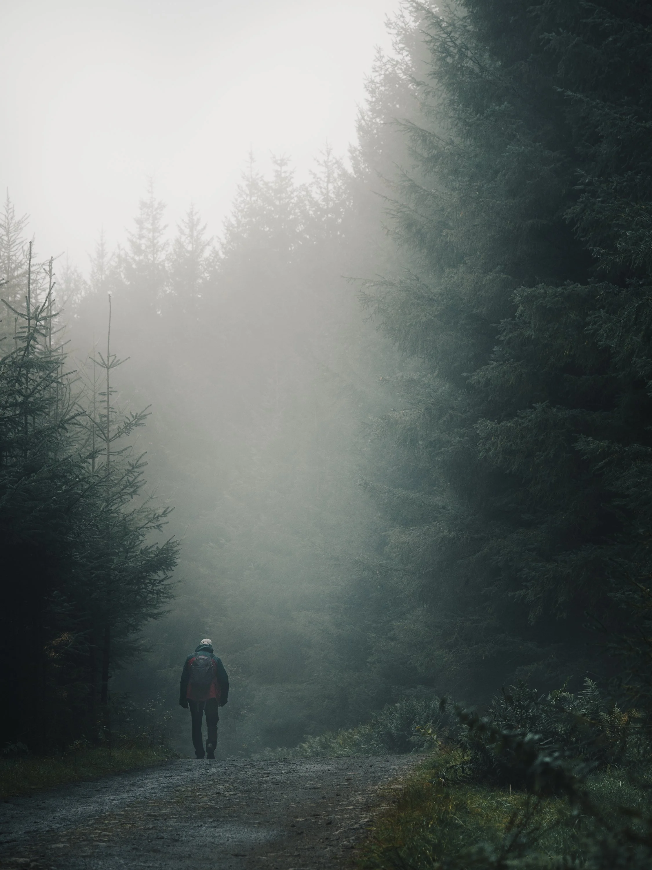 'Into the Deep Woods' by Natalia Kazmierczak