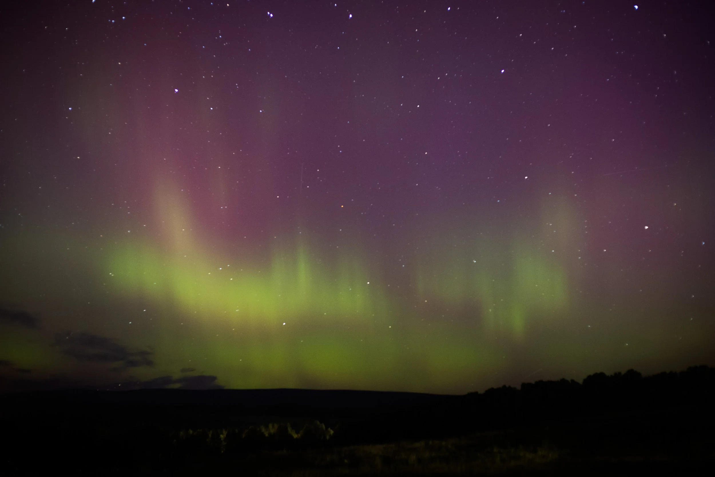 Aurora Borealis_Sept 13th 2024_Caitlin Jardine - Caitlin Jardine.jpg