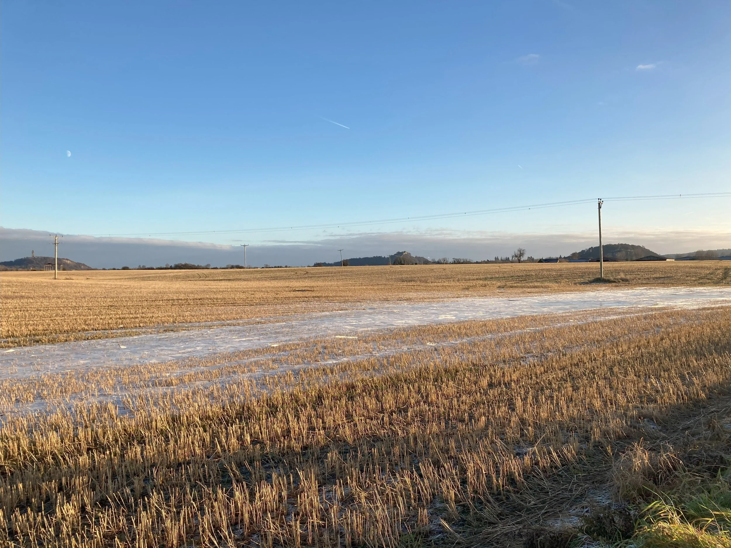 From the Carse, nr. Lecropt, December 2024 - Angela Sword