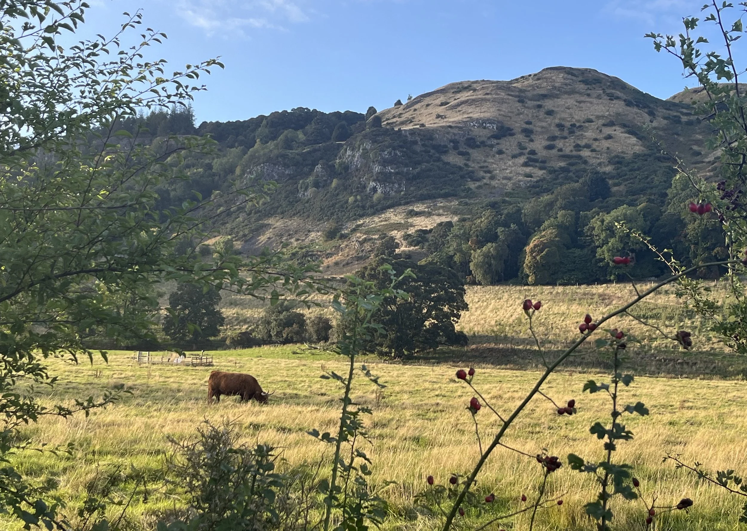 'A Warm Highland Welcome in the Ochils' by Elle Lappin