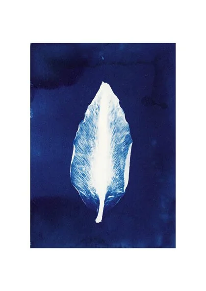 'In the Shade of Blue' by Kelsie Pullen