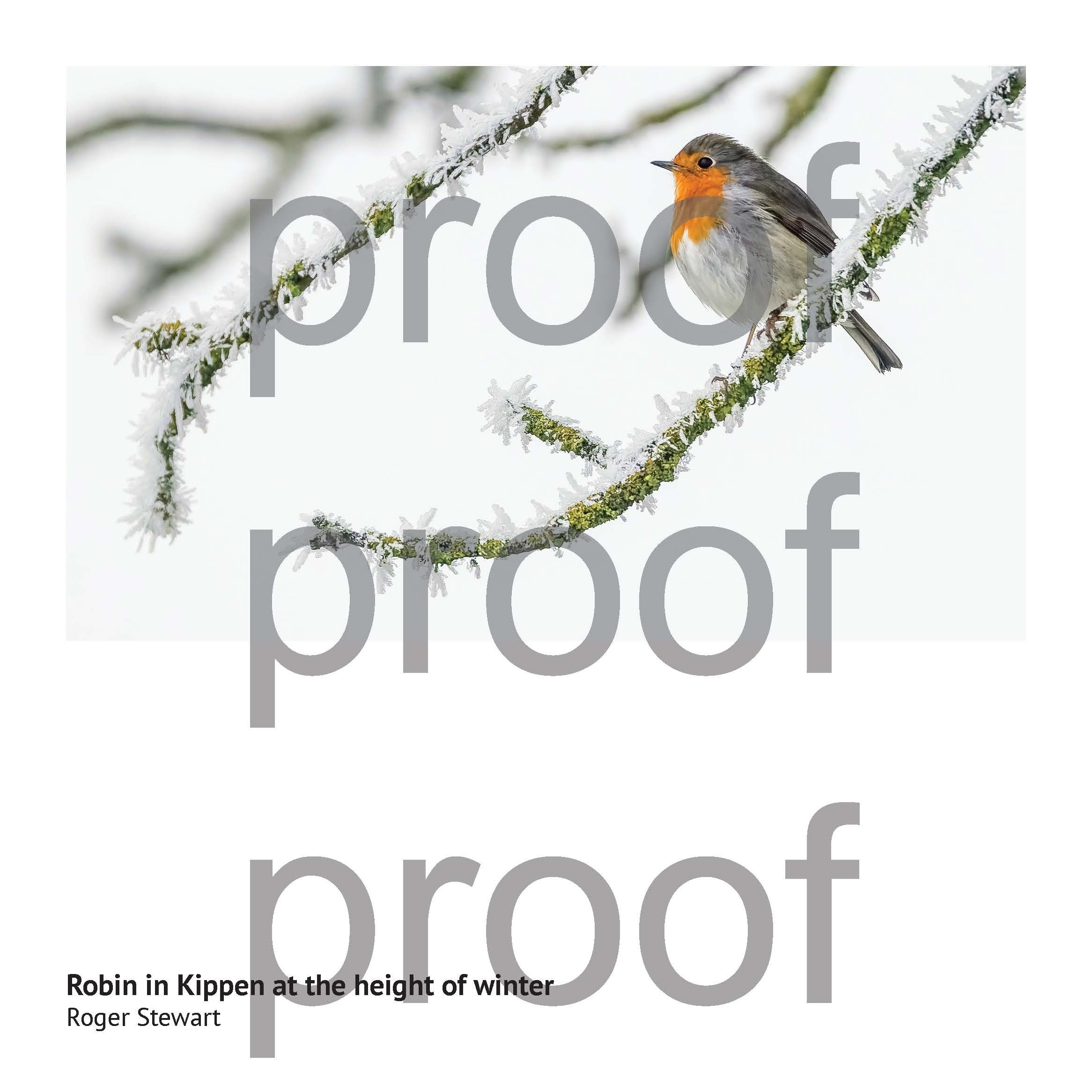 SPF 900 Book X_Page_036.jpg