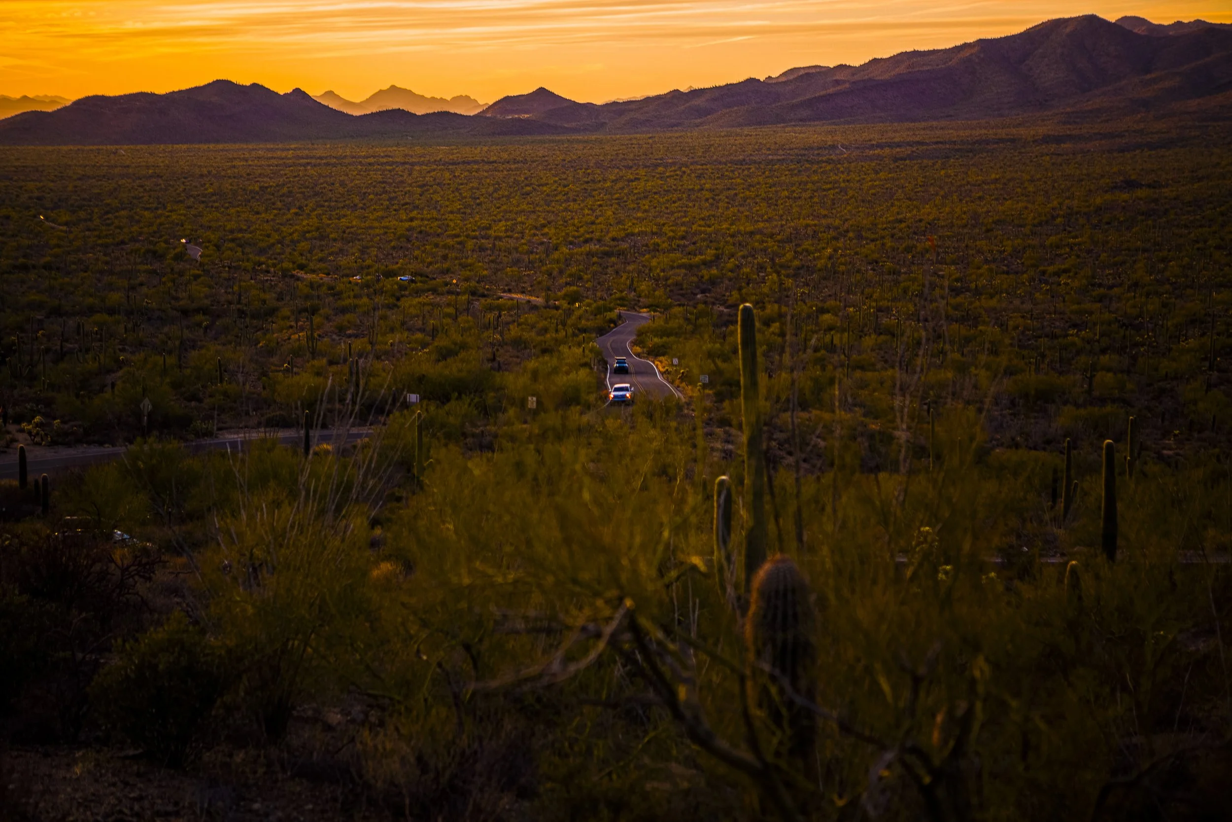 'The Golden Hour' by Gaspar Marquez 