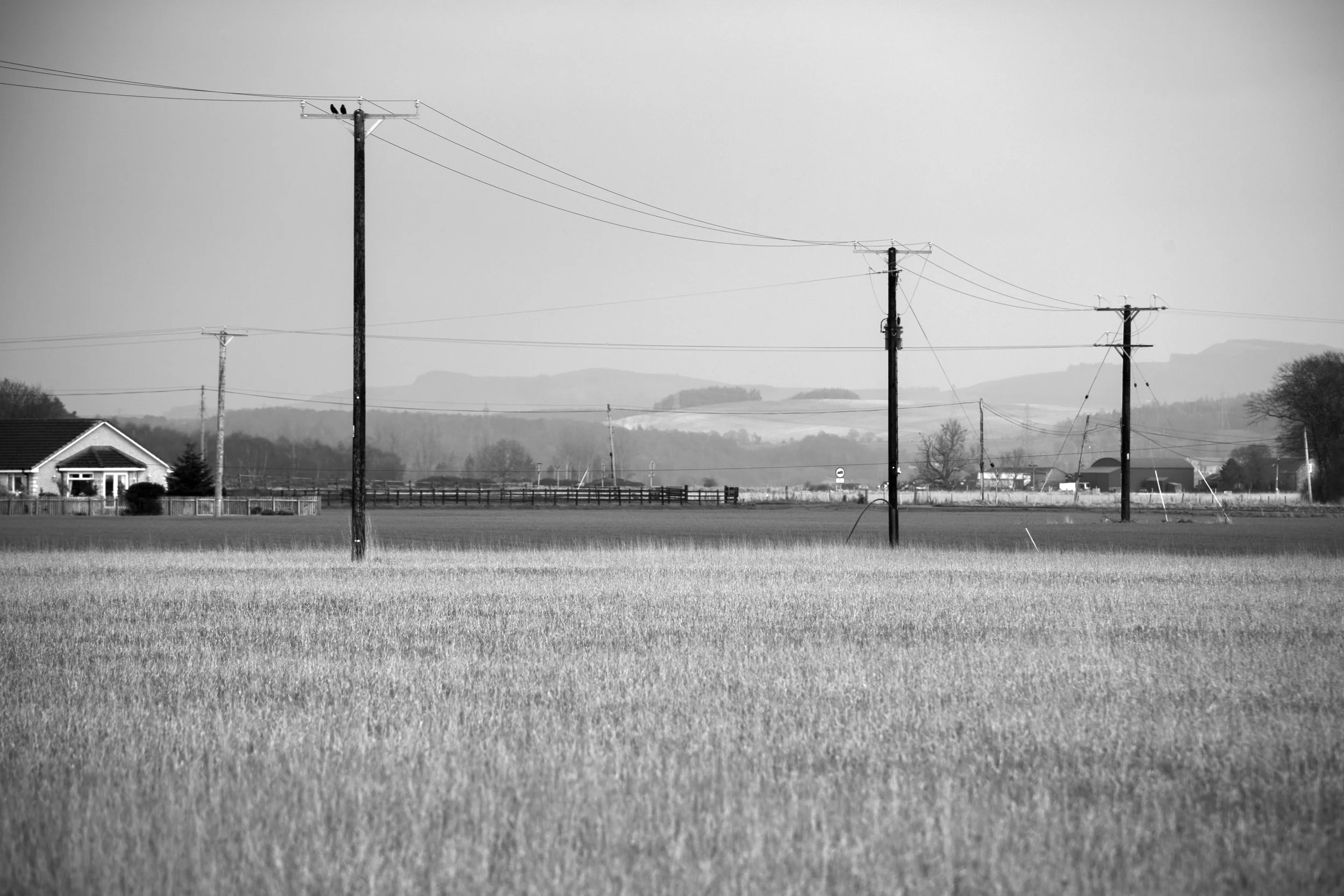 'Farm Life' by Niamh Mccrossan