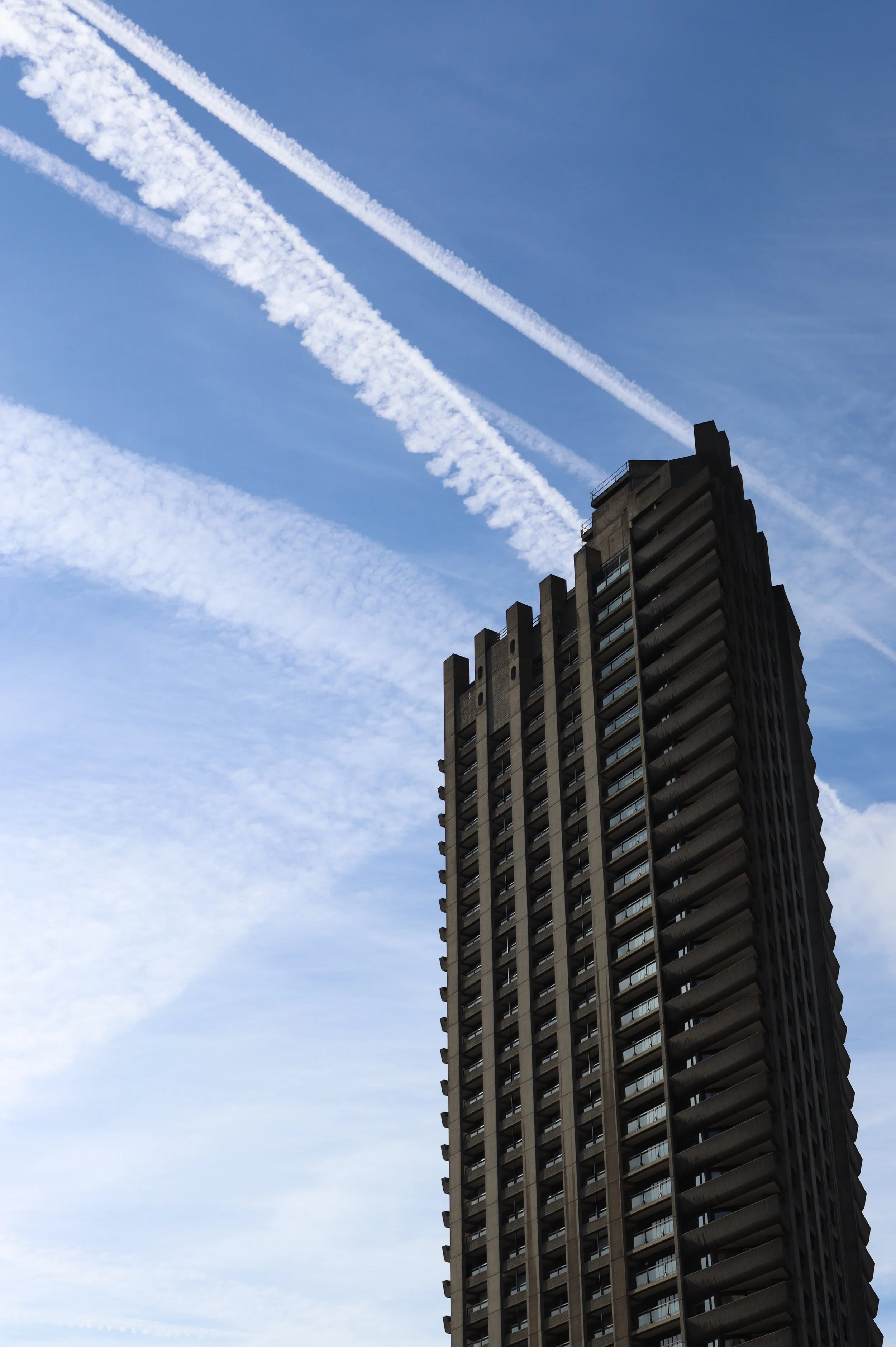 'Brutalism' by Lucía Calabrino