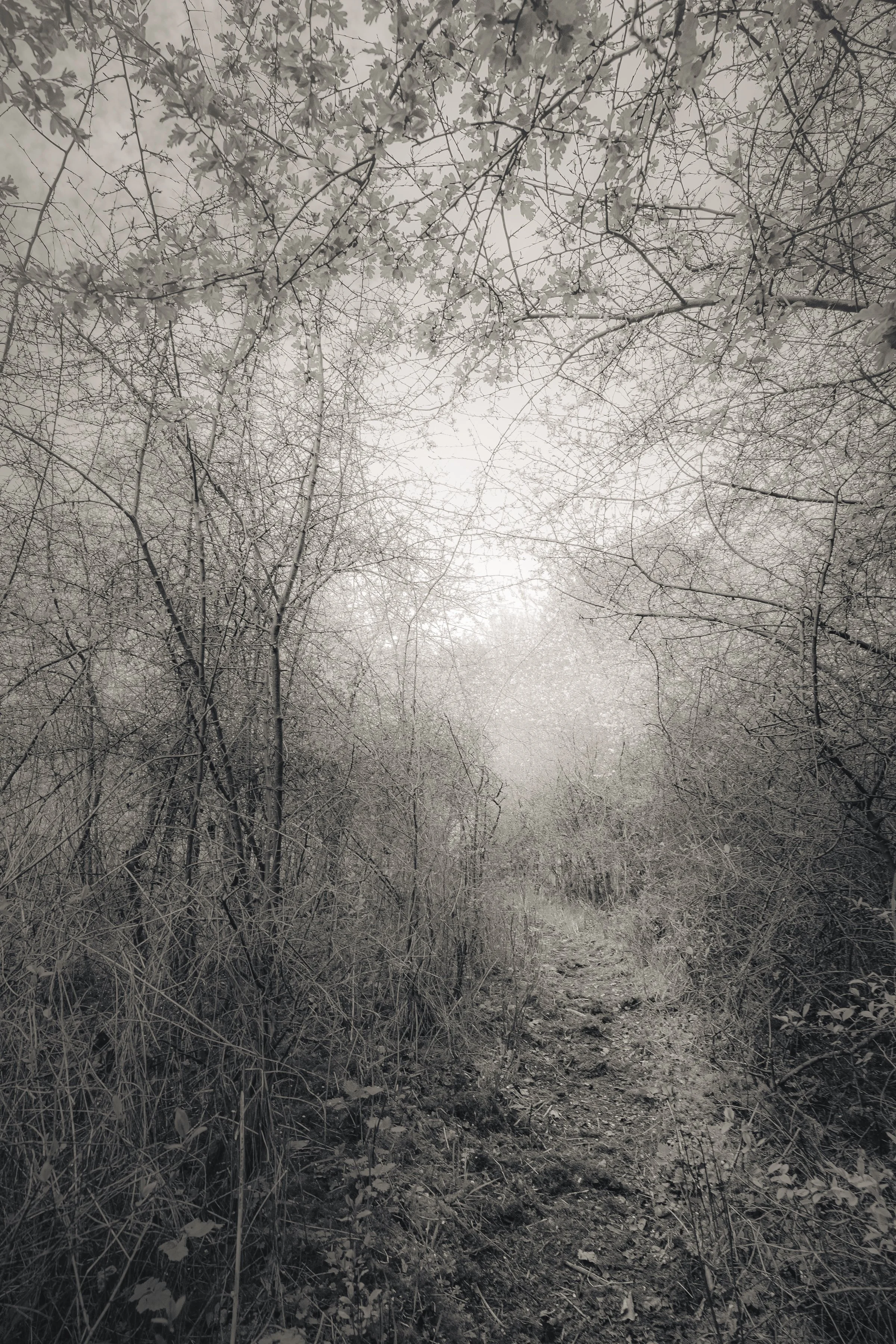 'Wayfinding' by Victoria Stock