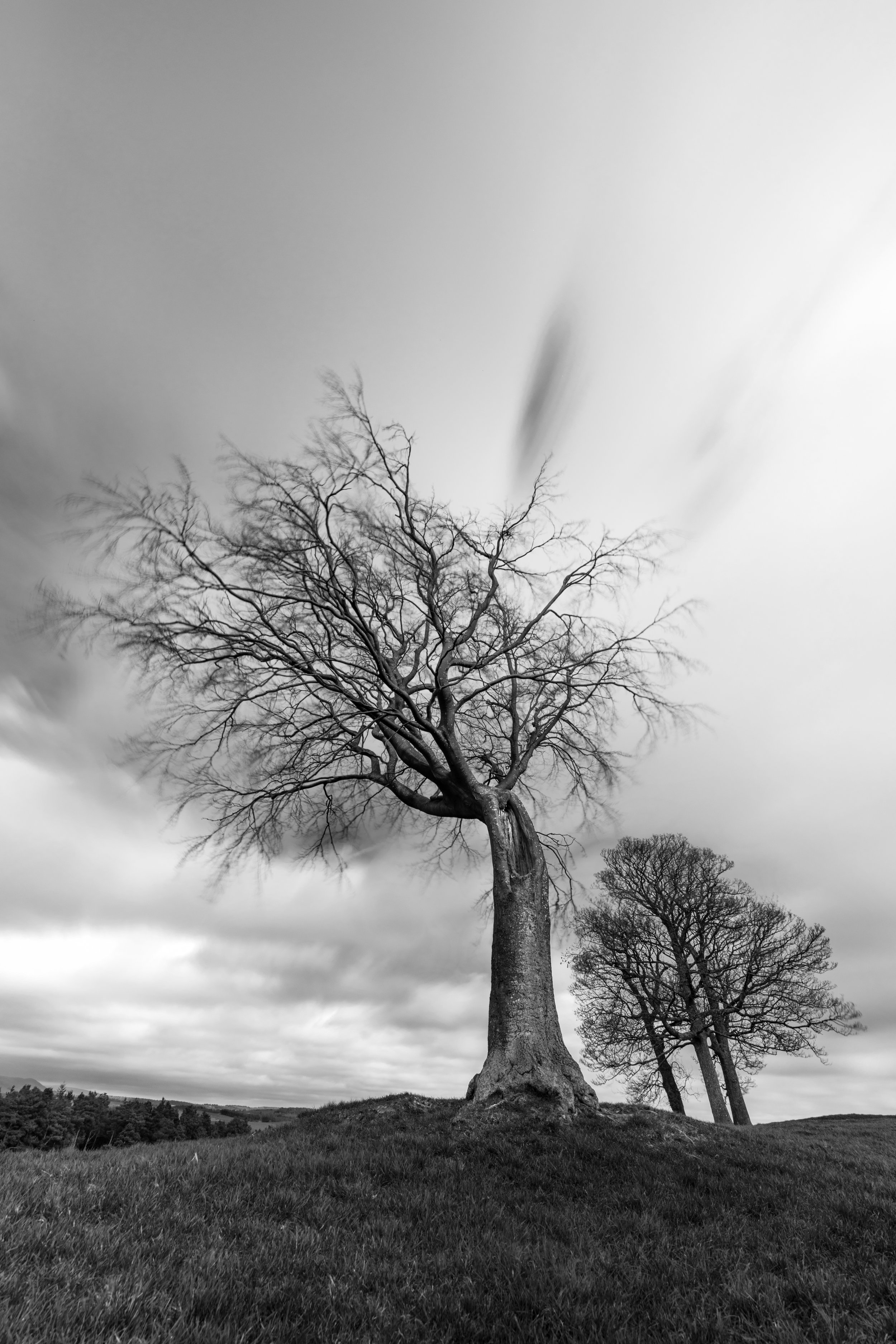 Lindsay Forsyth