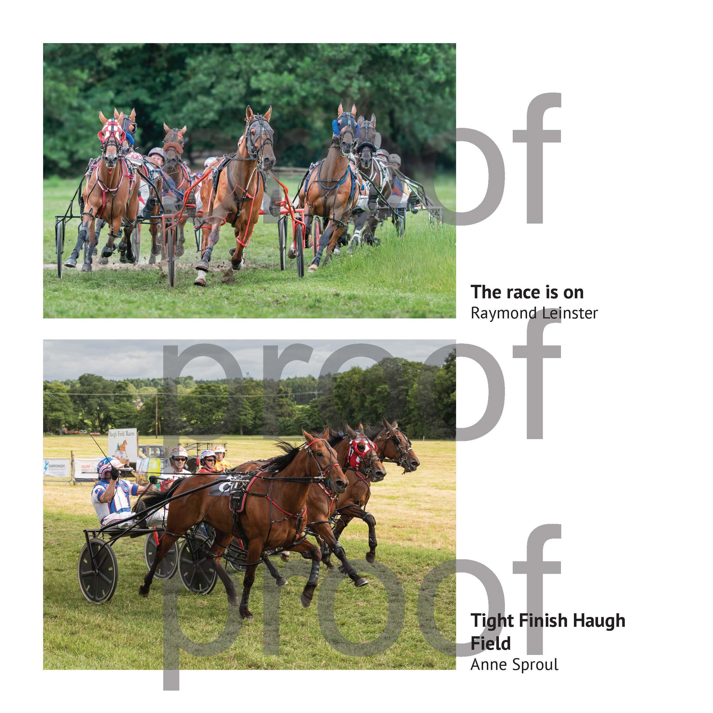 SPF 900 Book X_Page_064.jpg