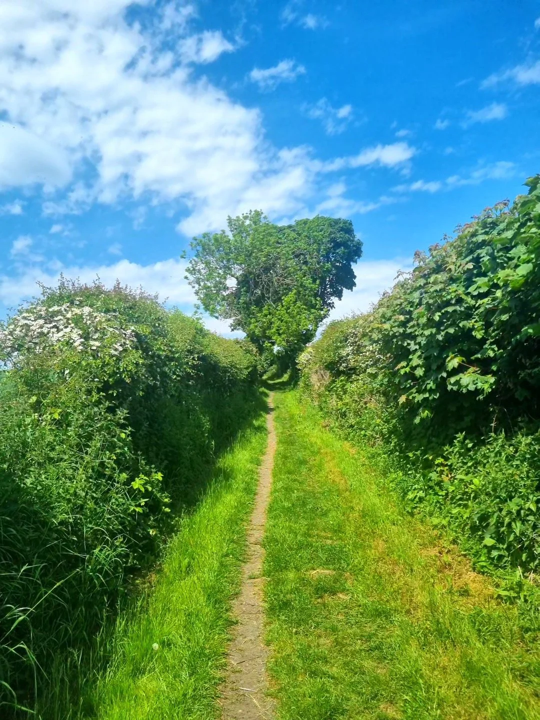 'Path to a Healing Heart' by Libby Johnson