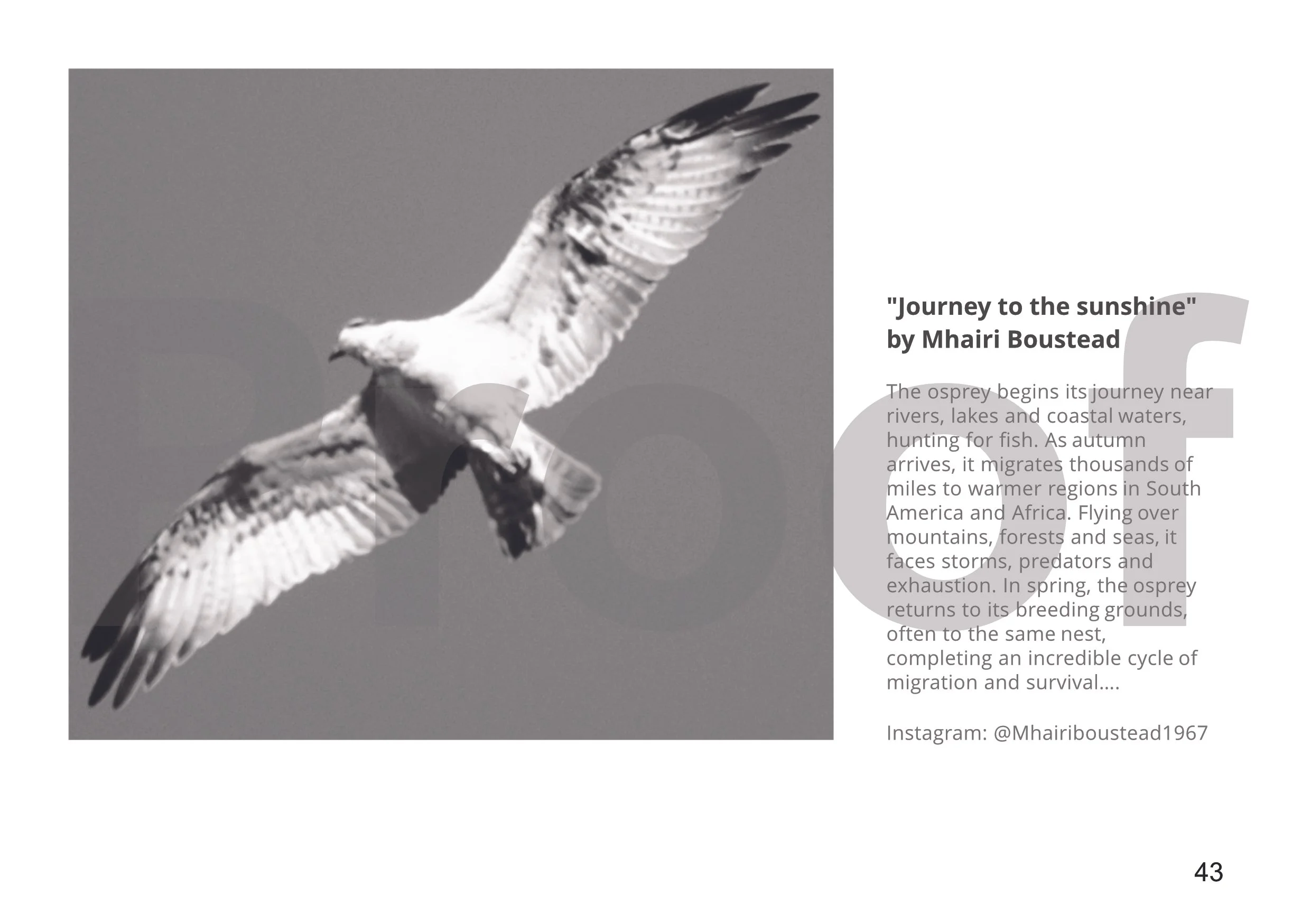 Affinity book 2026 V2 Pages_43.jpg
