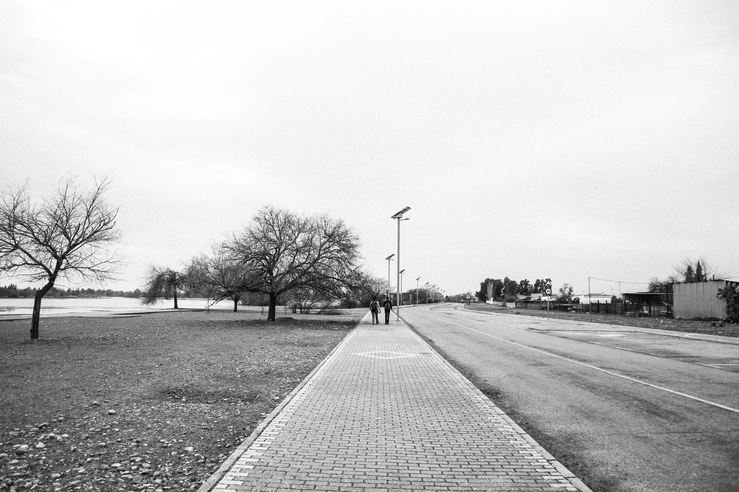 “Camino” - Fernando Pachón Cárdeno