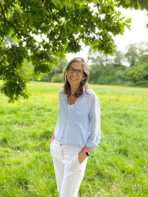 eaceful therapy environment at CBT practice in Dulwich, South London