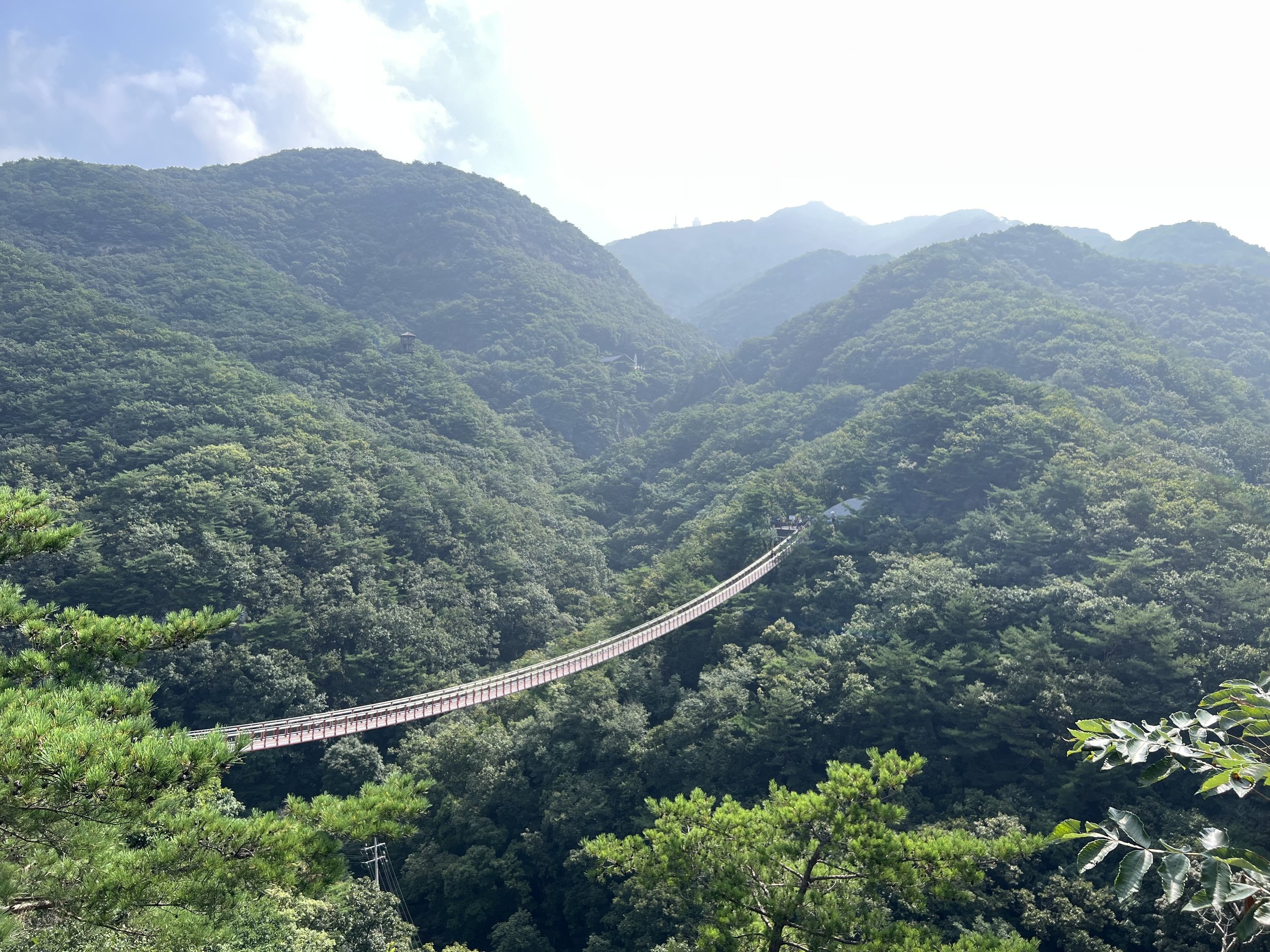 The Majang Suspension Bridge in the DMZ sits in rolling green hills