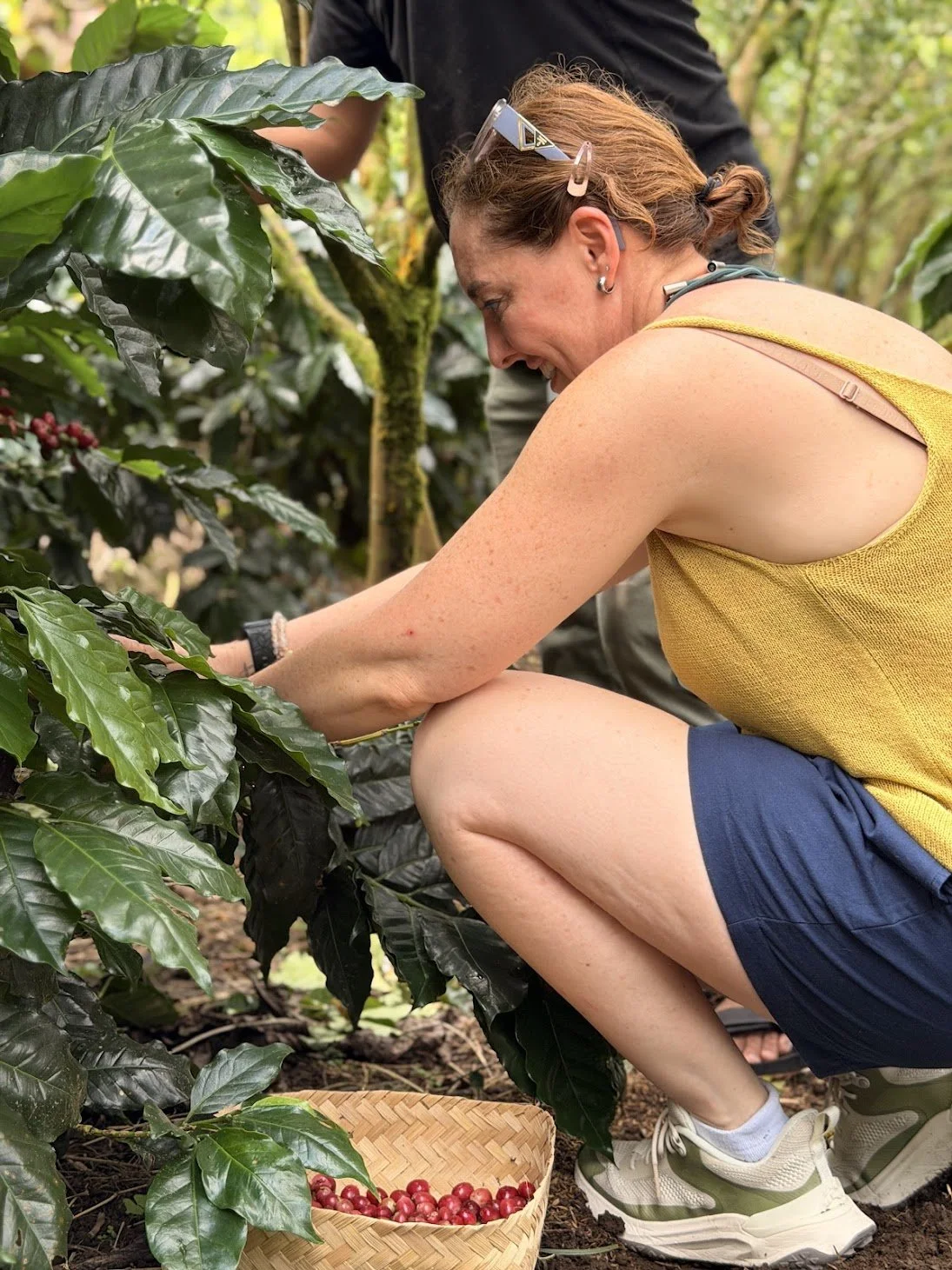 coffee_harvest_bali_travelynne.jpg