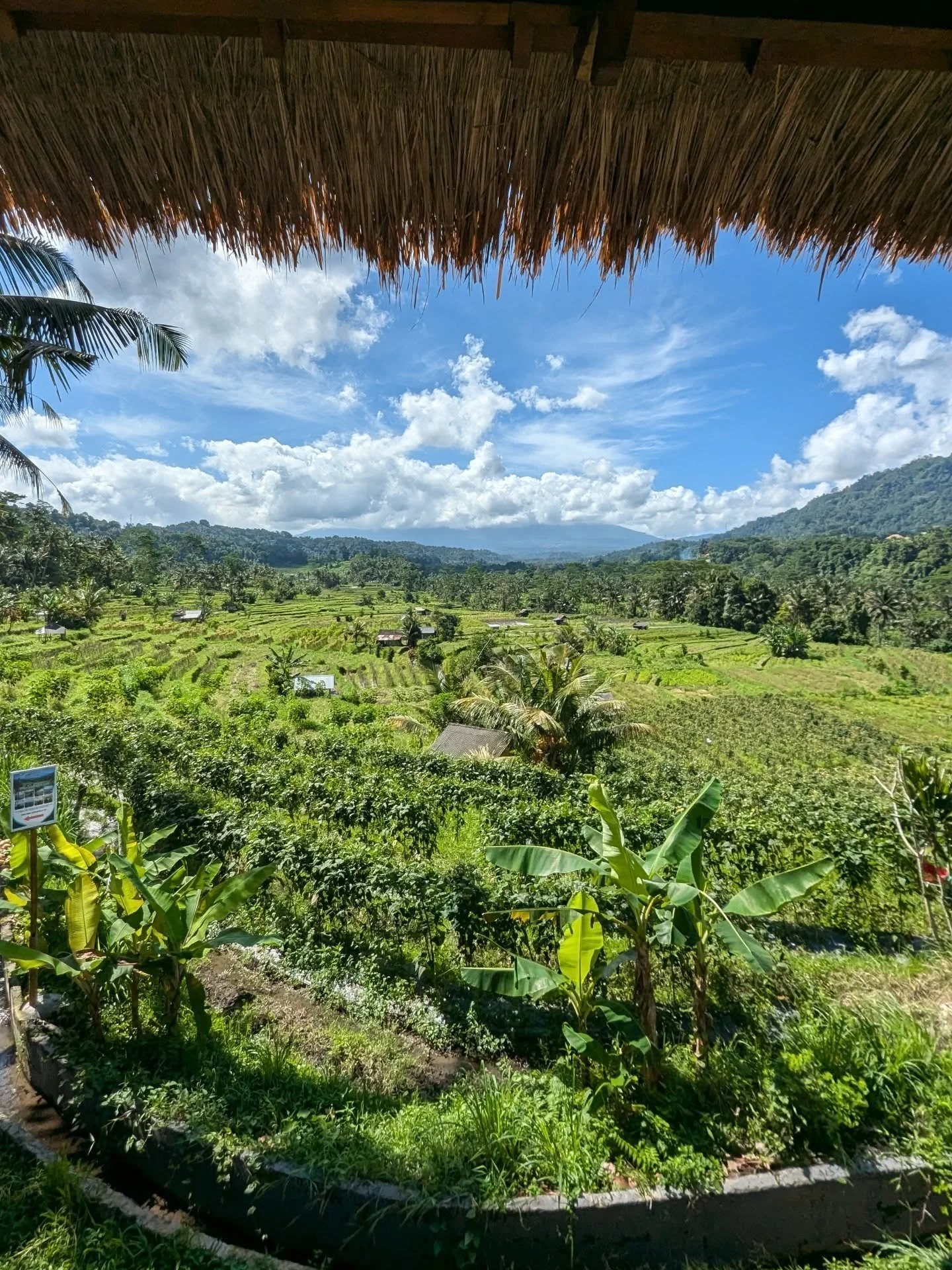 🇮🇩 Indonesia = one of my favorite places to explore in the whole world! 💚 There is a tremendous variety of culture &amp; nature to discover here, and I can't wait to share it with more people soon through our offbeat tours and trips ✨

Wishing a h