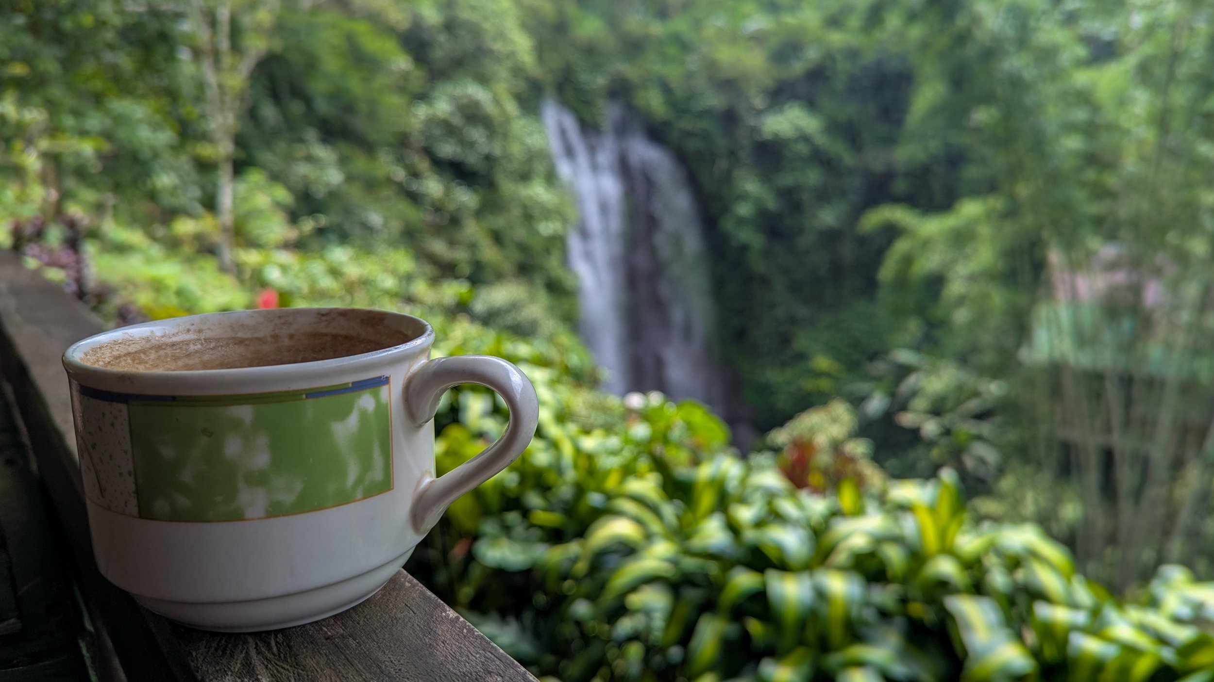 A coffee cup sits on a wooden ledge with bright green foliage and the stream of water from Golden Valley waterfall in the background.