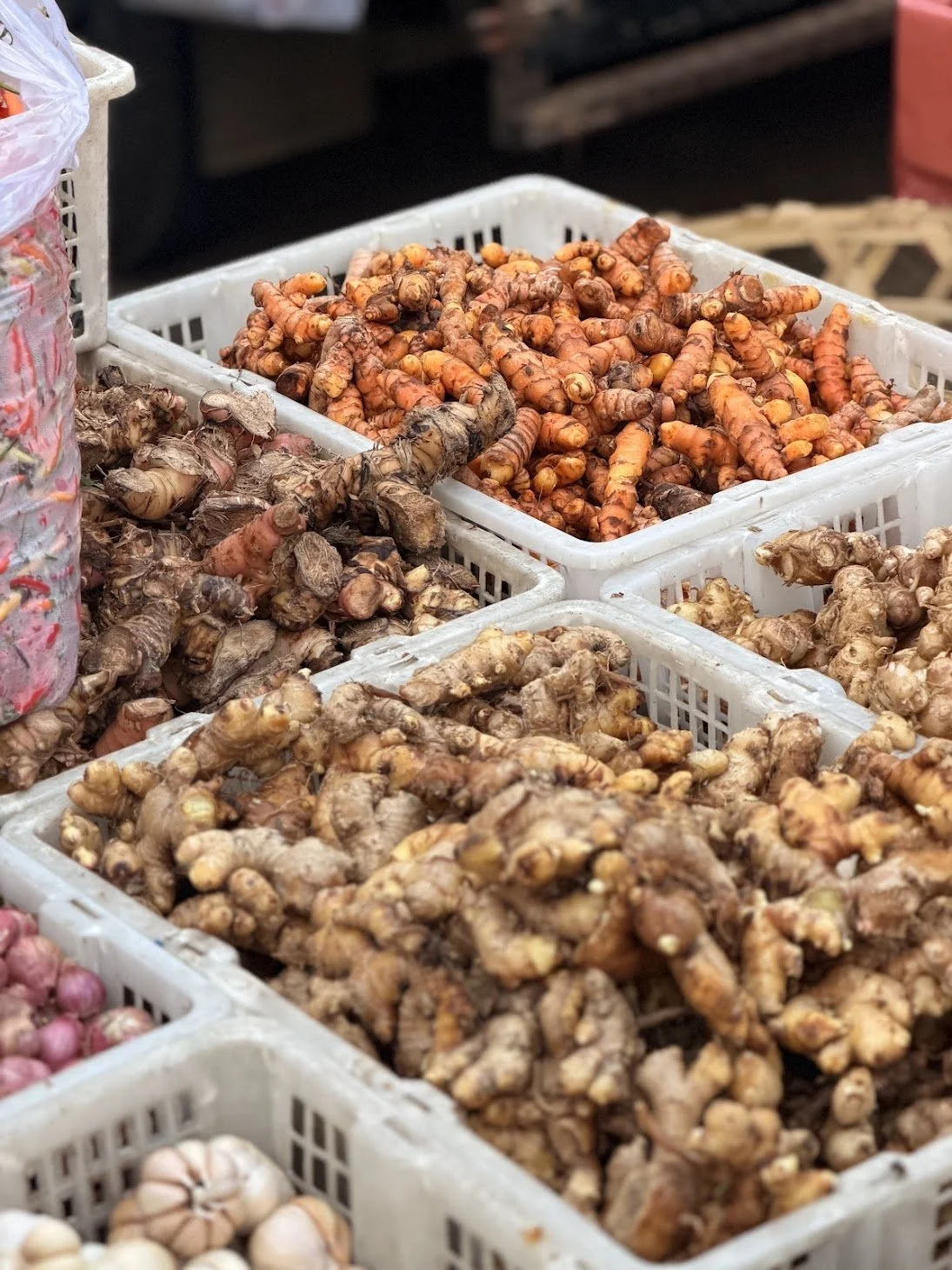 turmeric_ginger_denpasar_travelynne.jpg