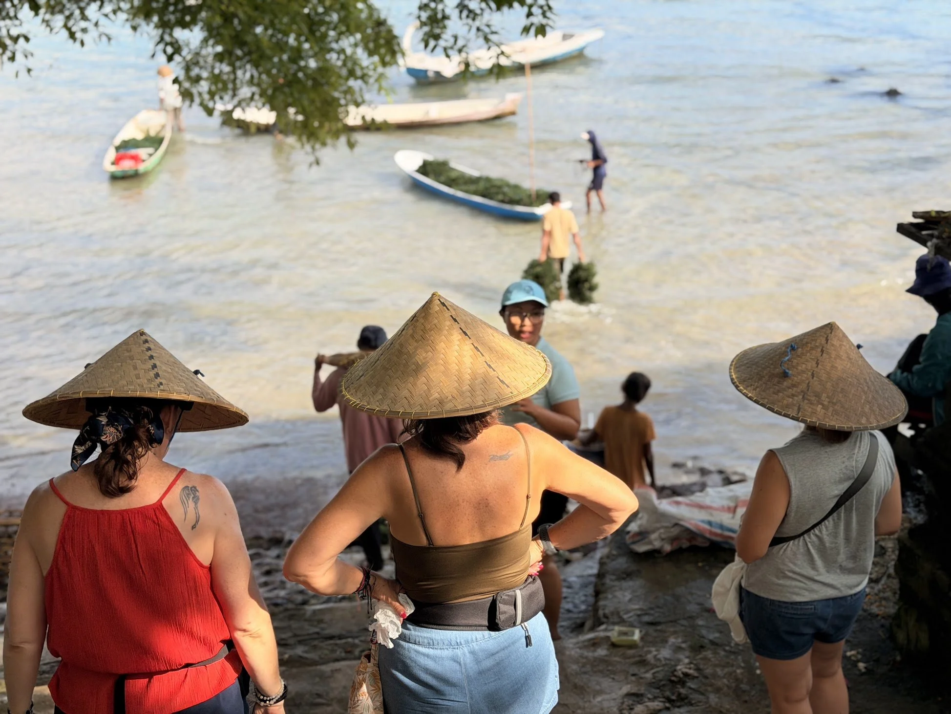 seaweed_farm_tour_lembongan_travelynne.jpg