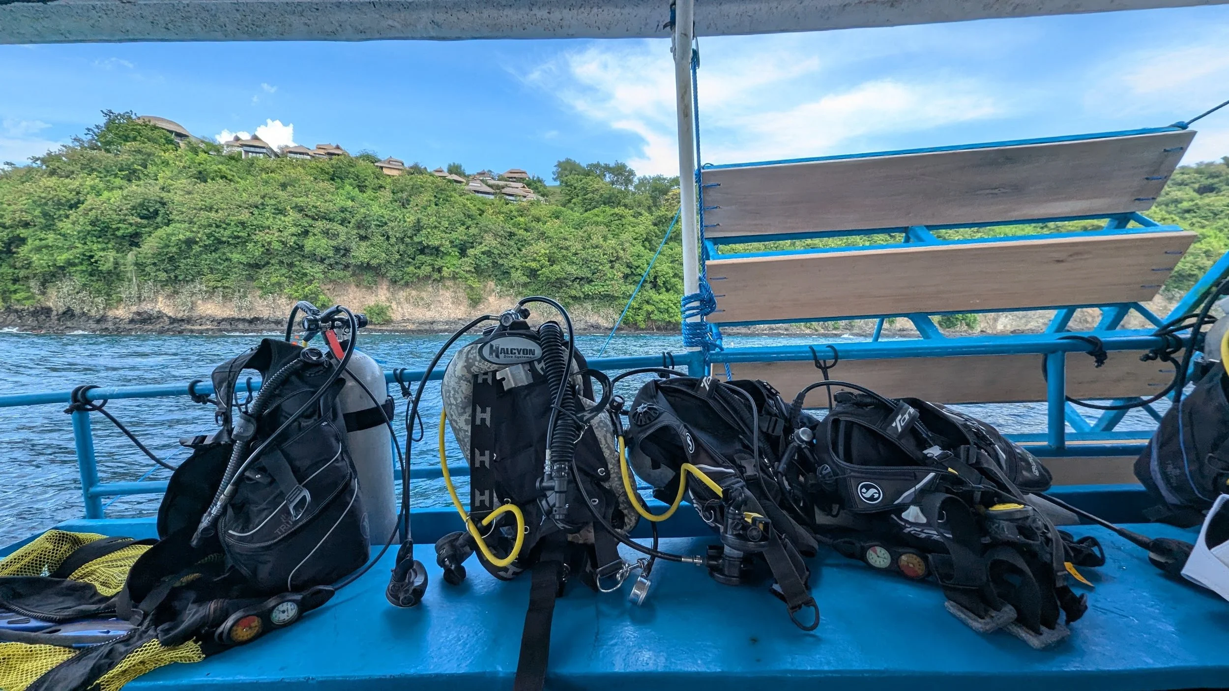 diving_coral_restoration_bali_travelynne.jpg
