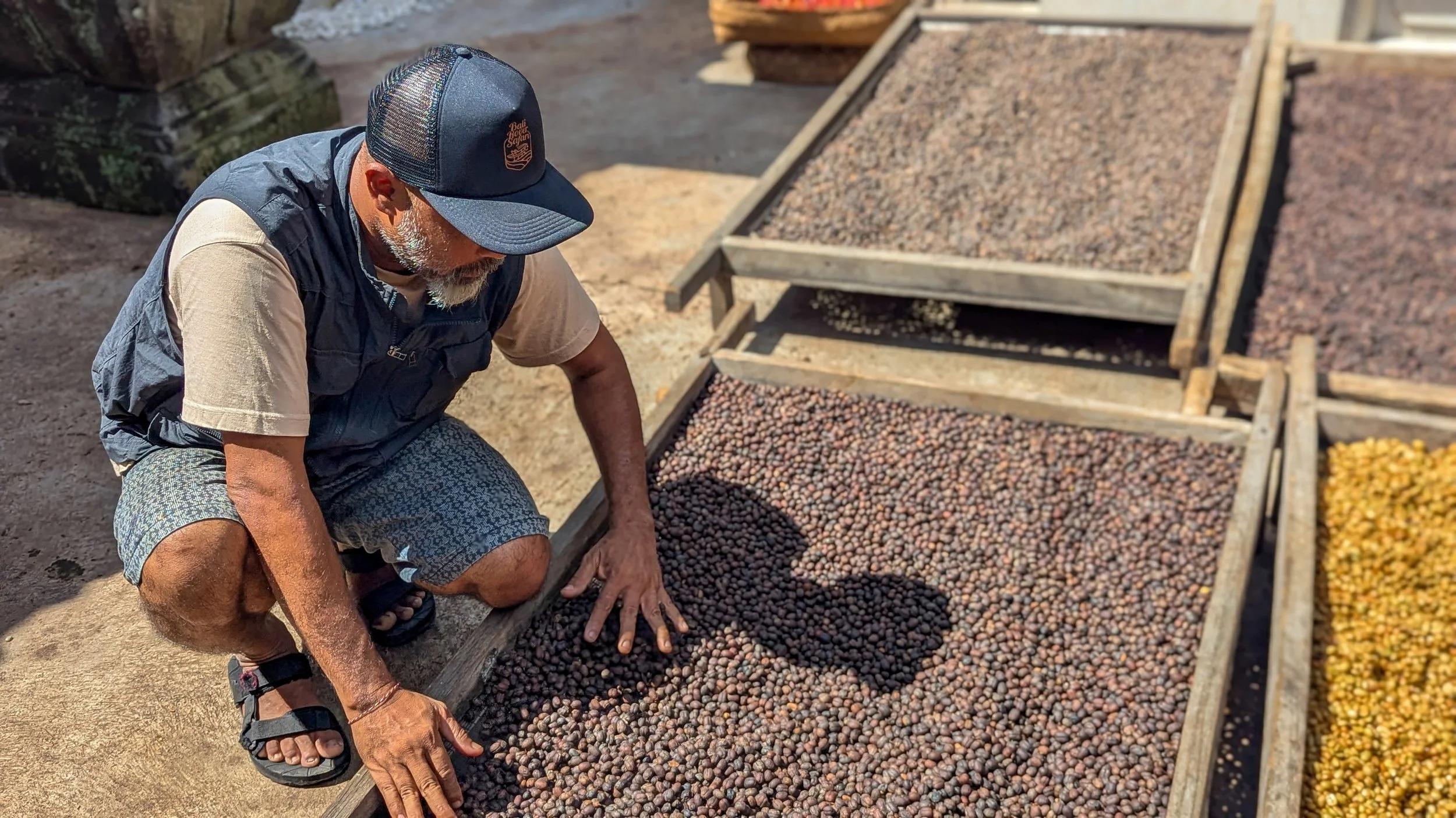 PXL_20250114_025859847.MP.jpg (Copy)