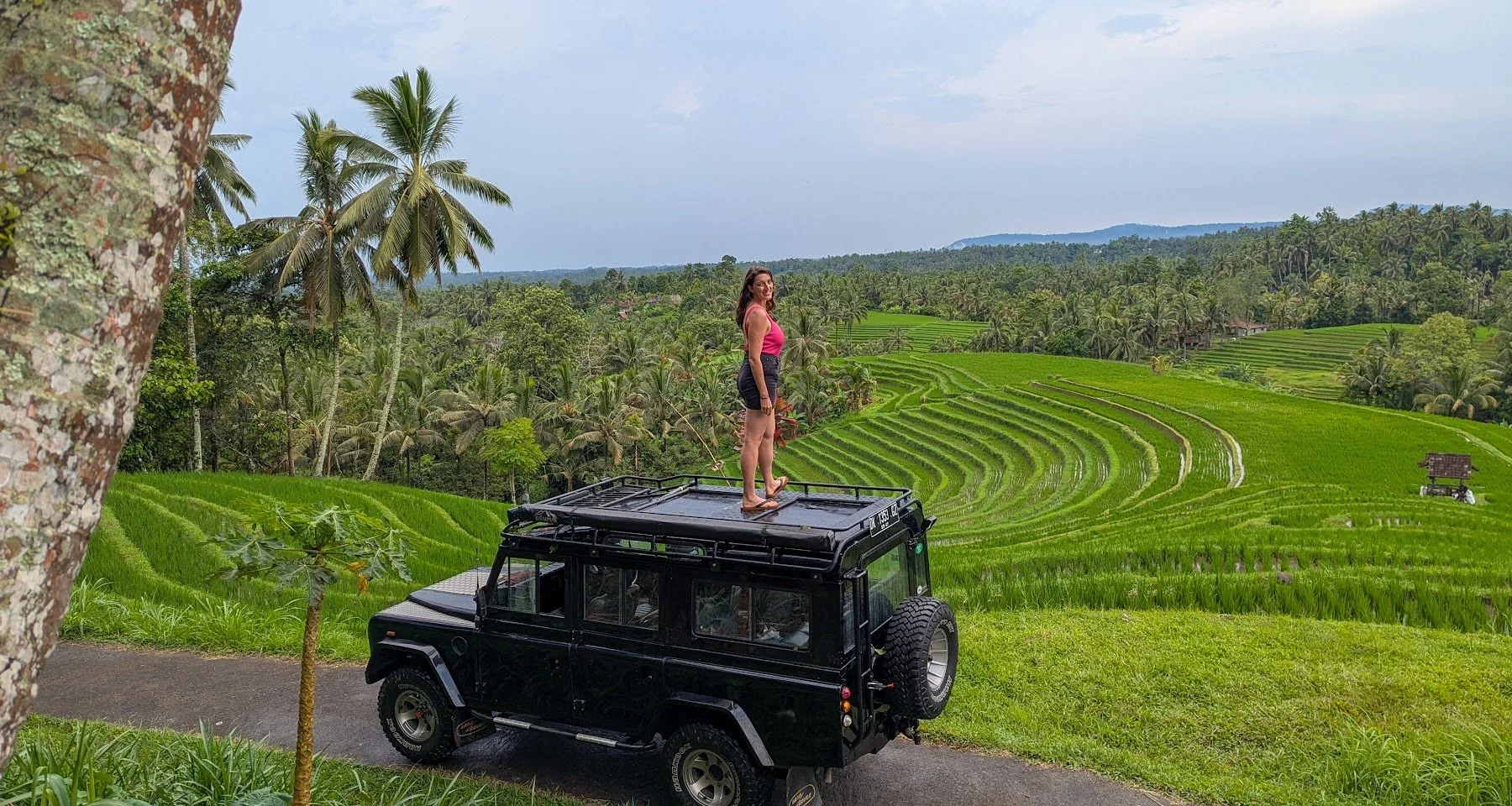 tabanan_ricefields_landrover_travelynne.jpg