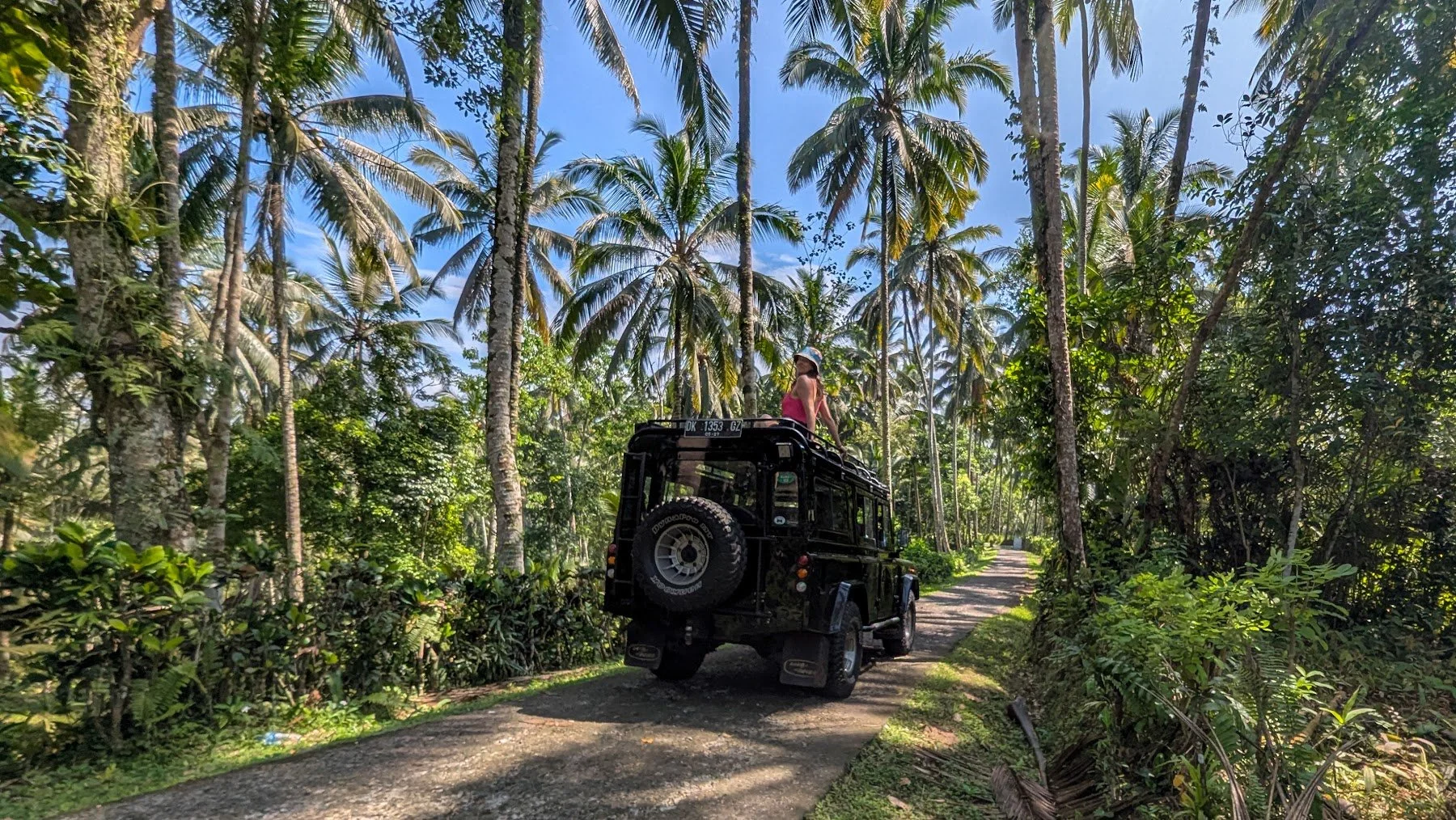 A road in Tabanan, Bali, lined with palm trees and lush jungle, with a girl in a pink top sitting on top of a Land Rover