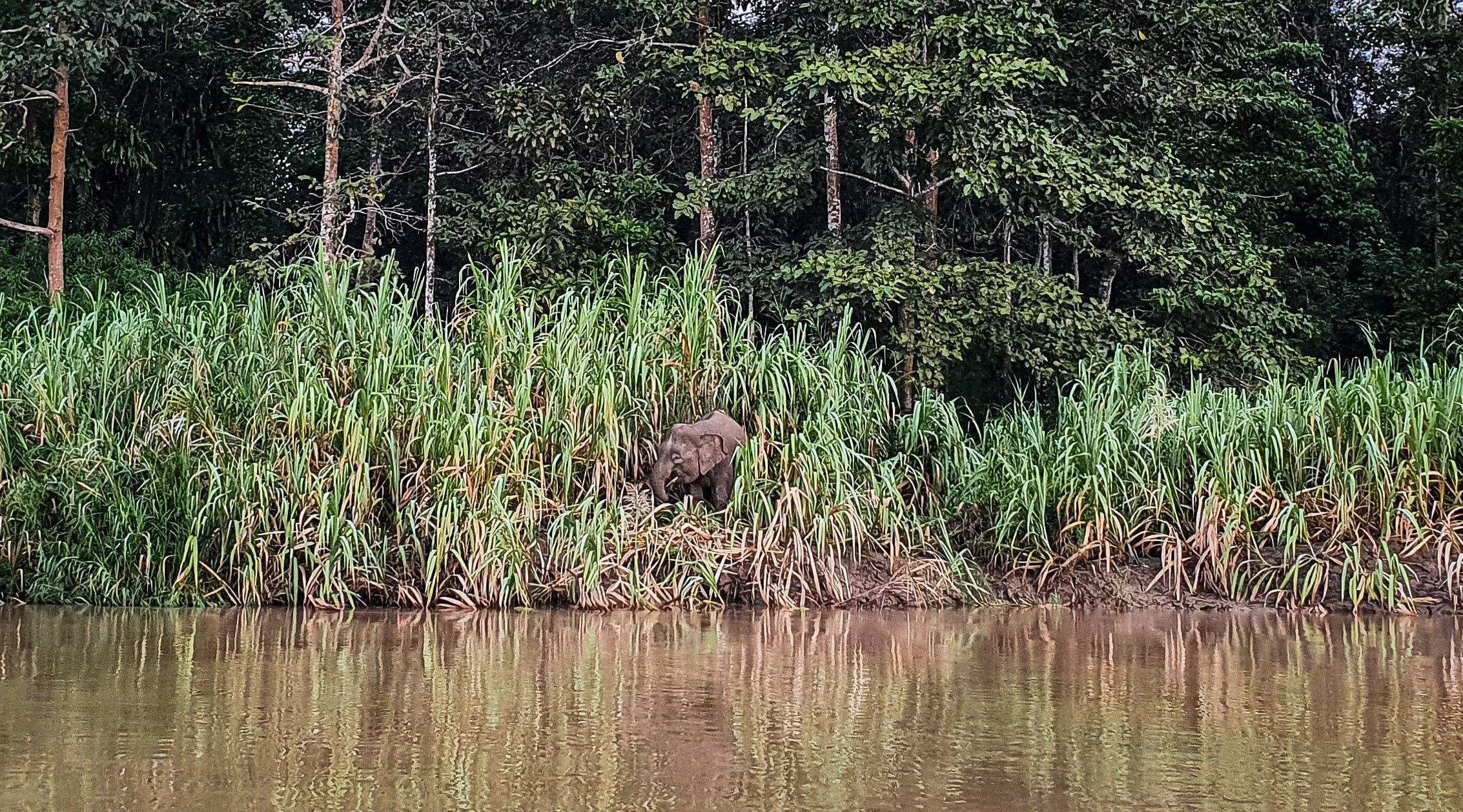 Sabah 9.jpg