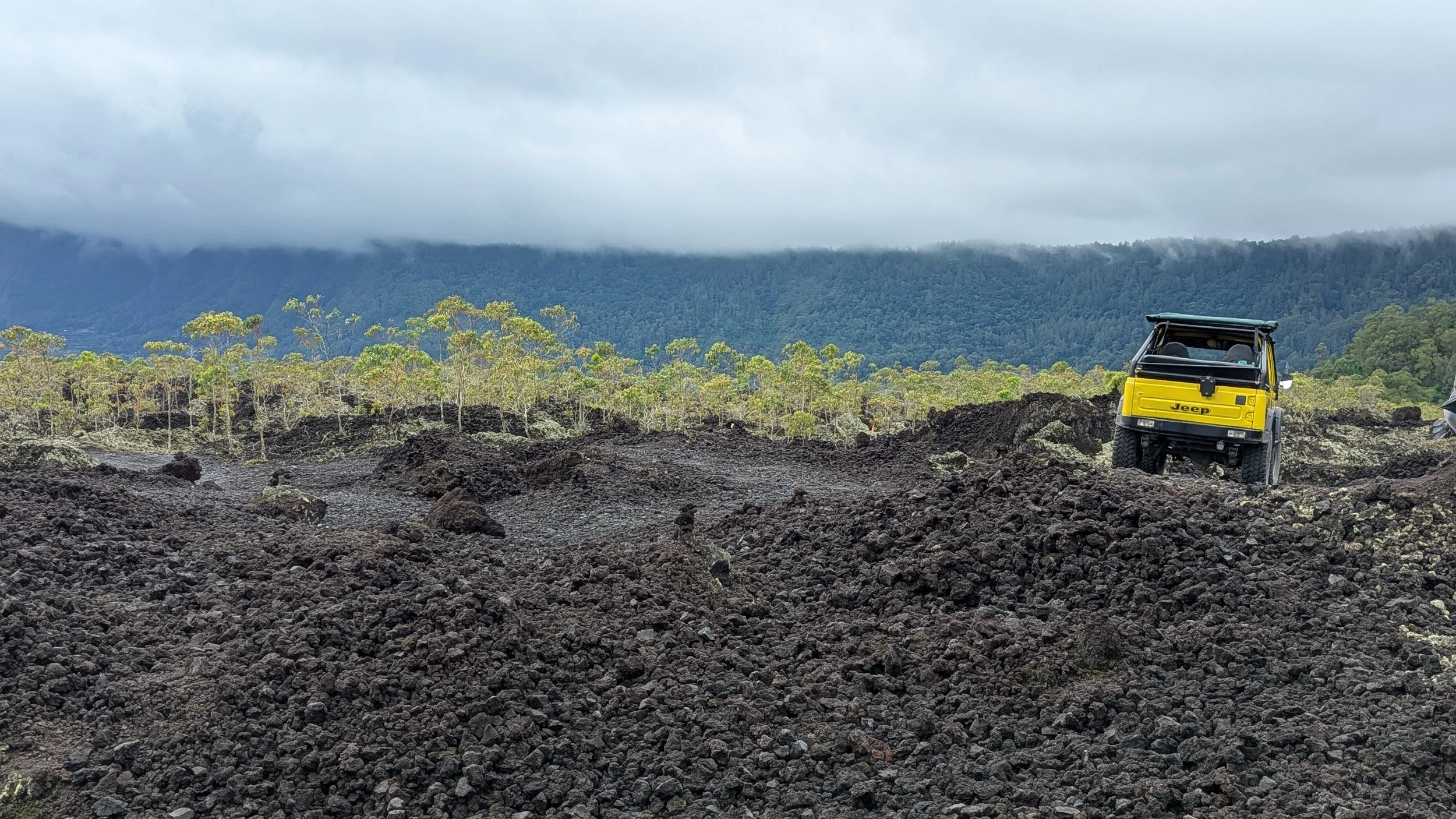 PXL_20250111_013106781.PORTRAIT.ORIGINAL.jpg (Copy)