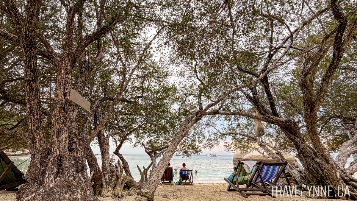 A shady beach scene with many trees and striped loungers with people lounging and swimming in the sea