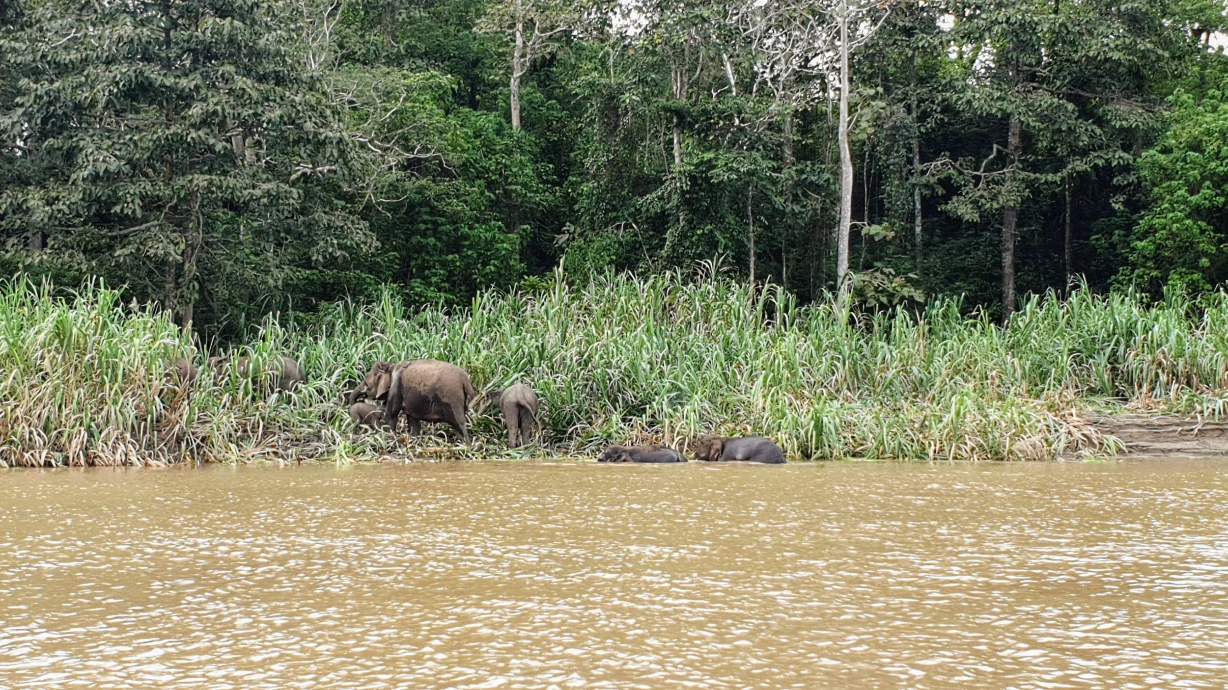 Sabah 7.jpg