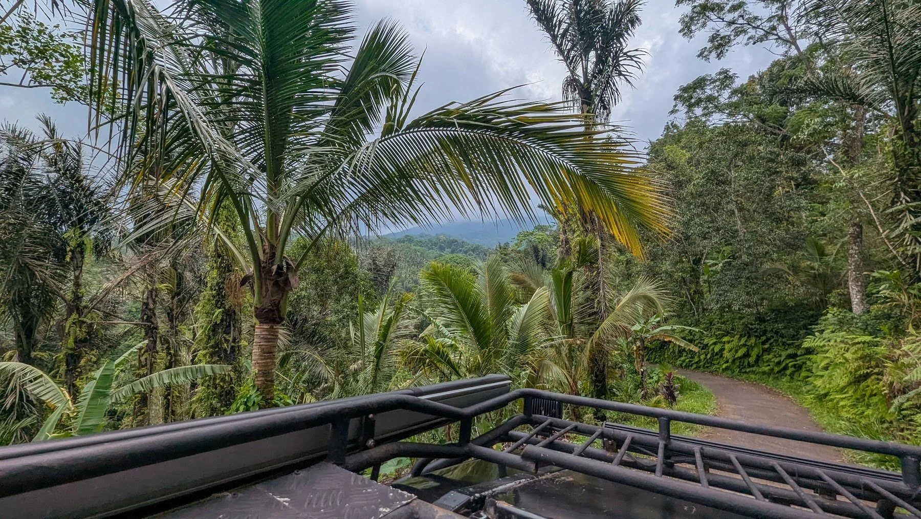 tabanan_roads_travelynne.jpg